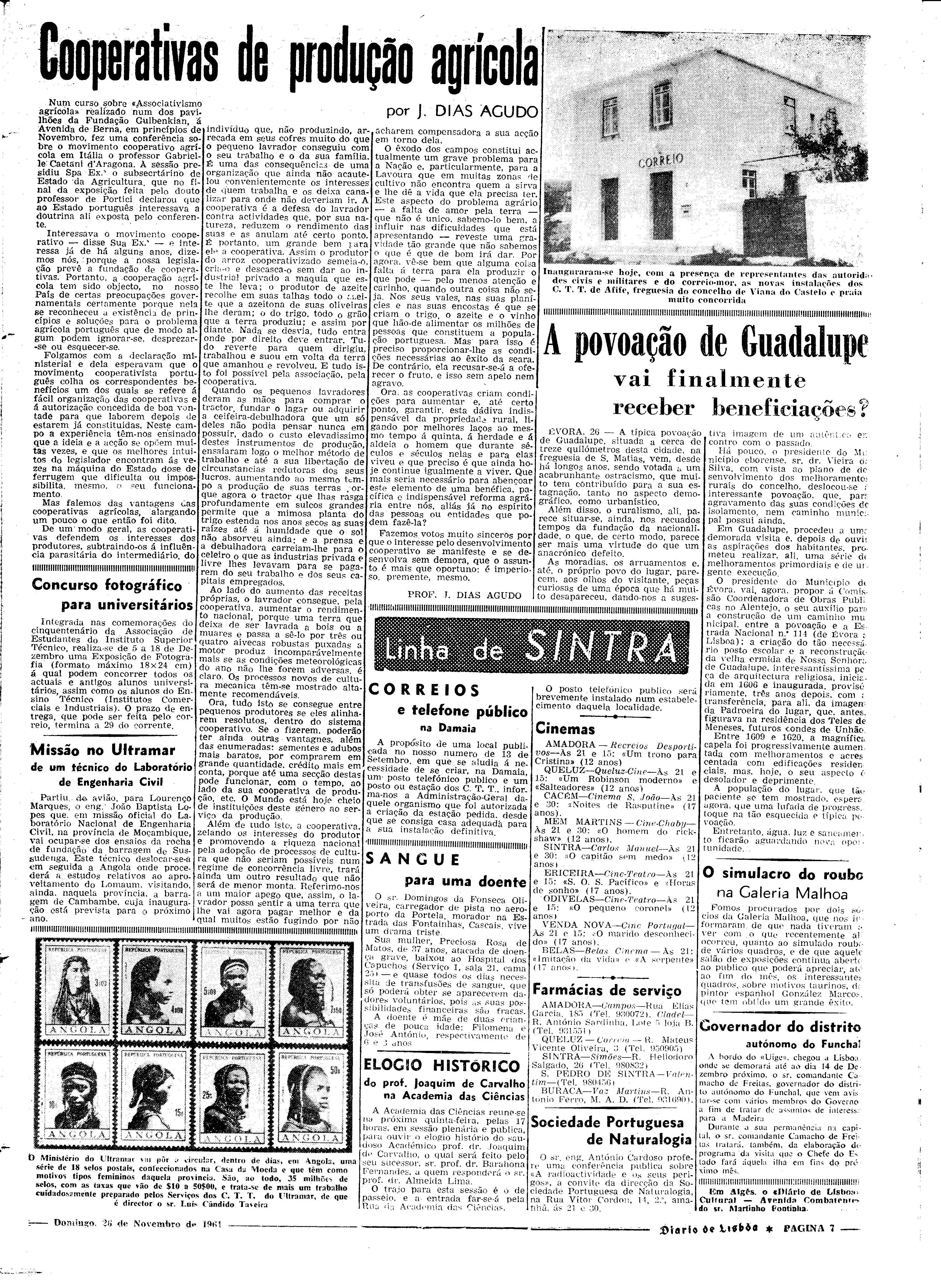 06544.082.17559- pag.7
