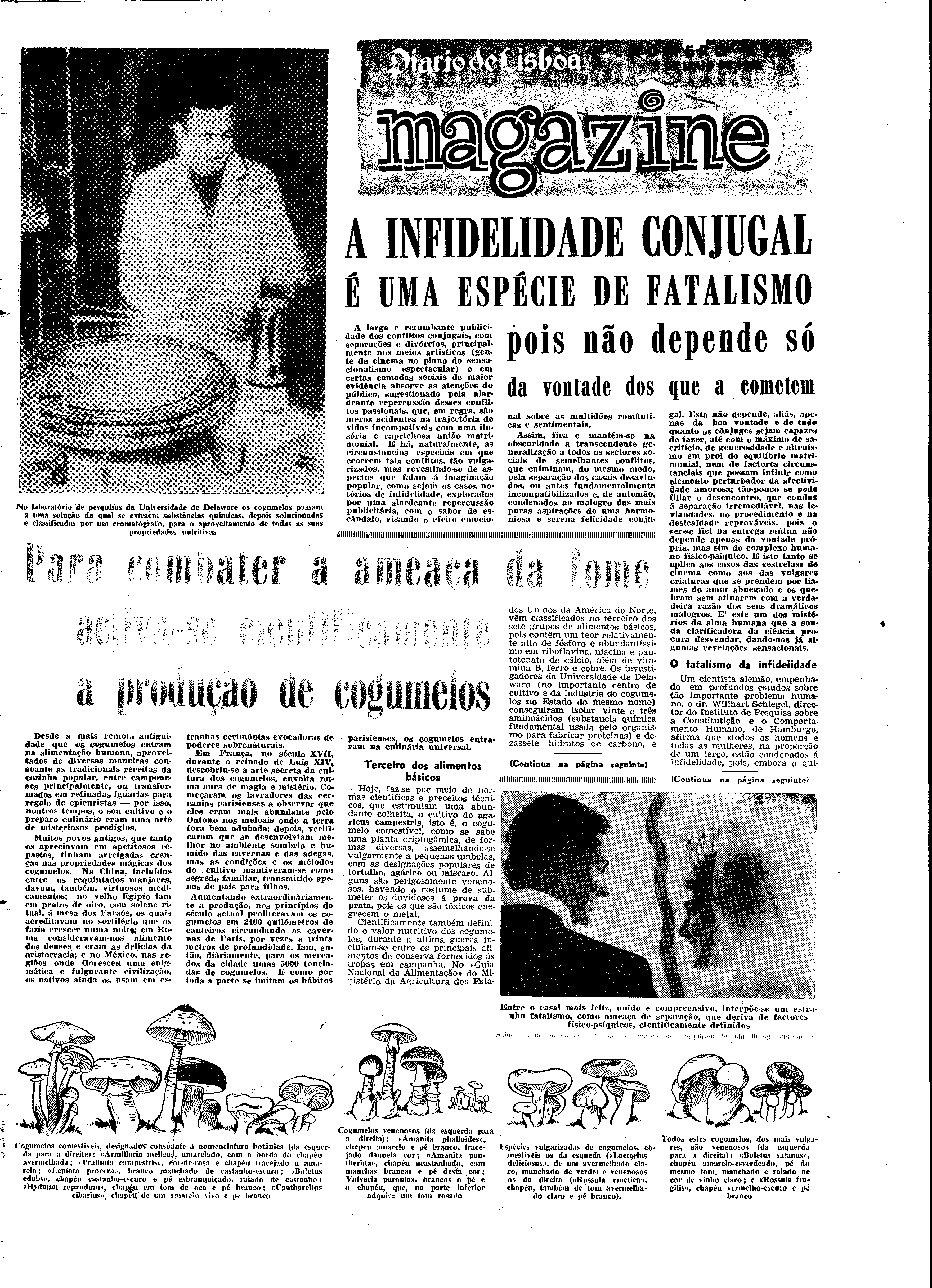 06545.083.17794- pag.17