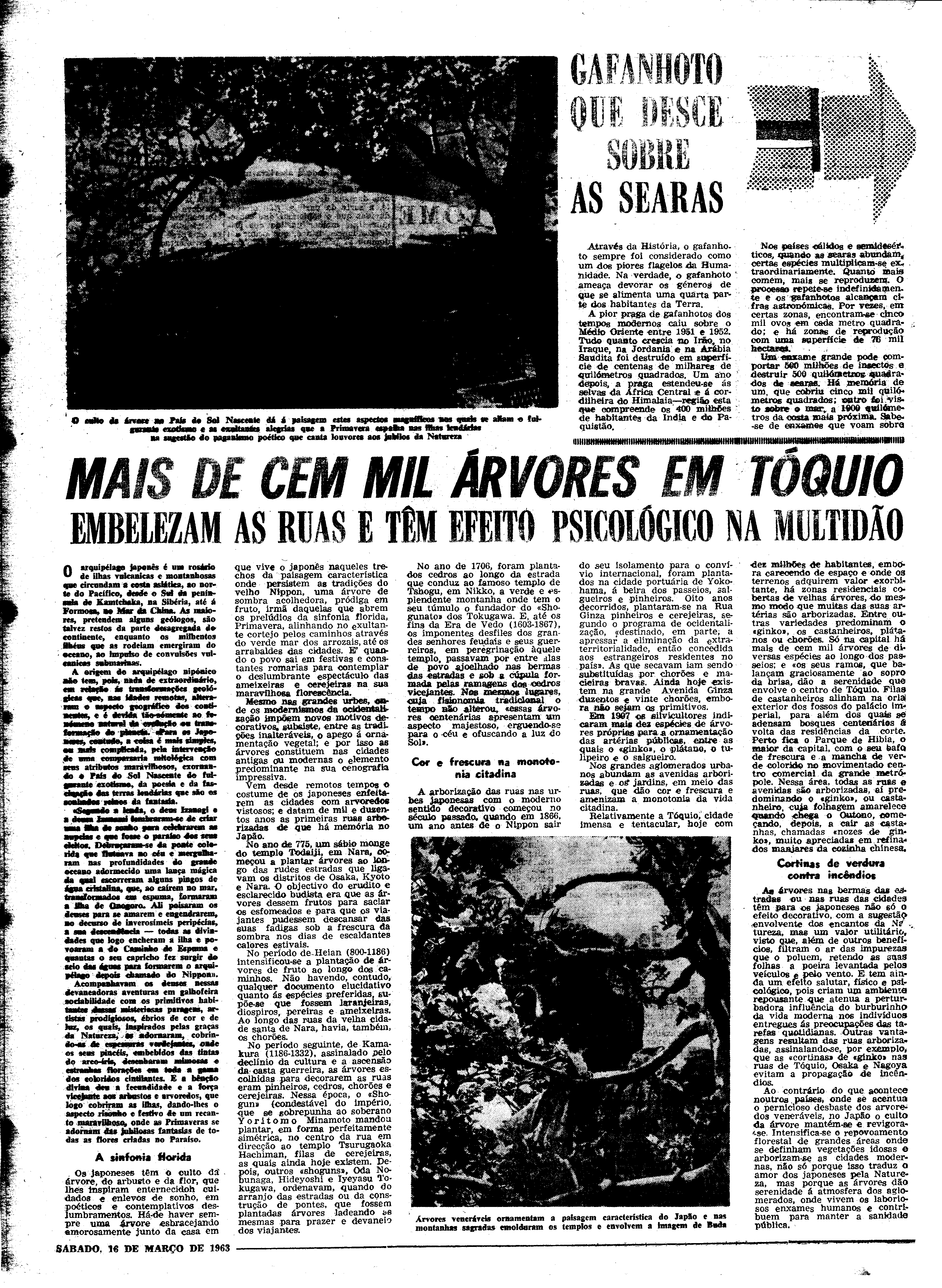 06548.086.18221- pag.22