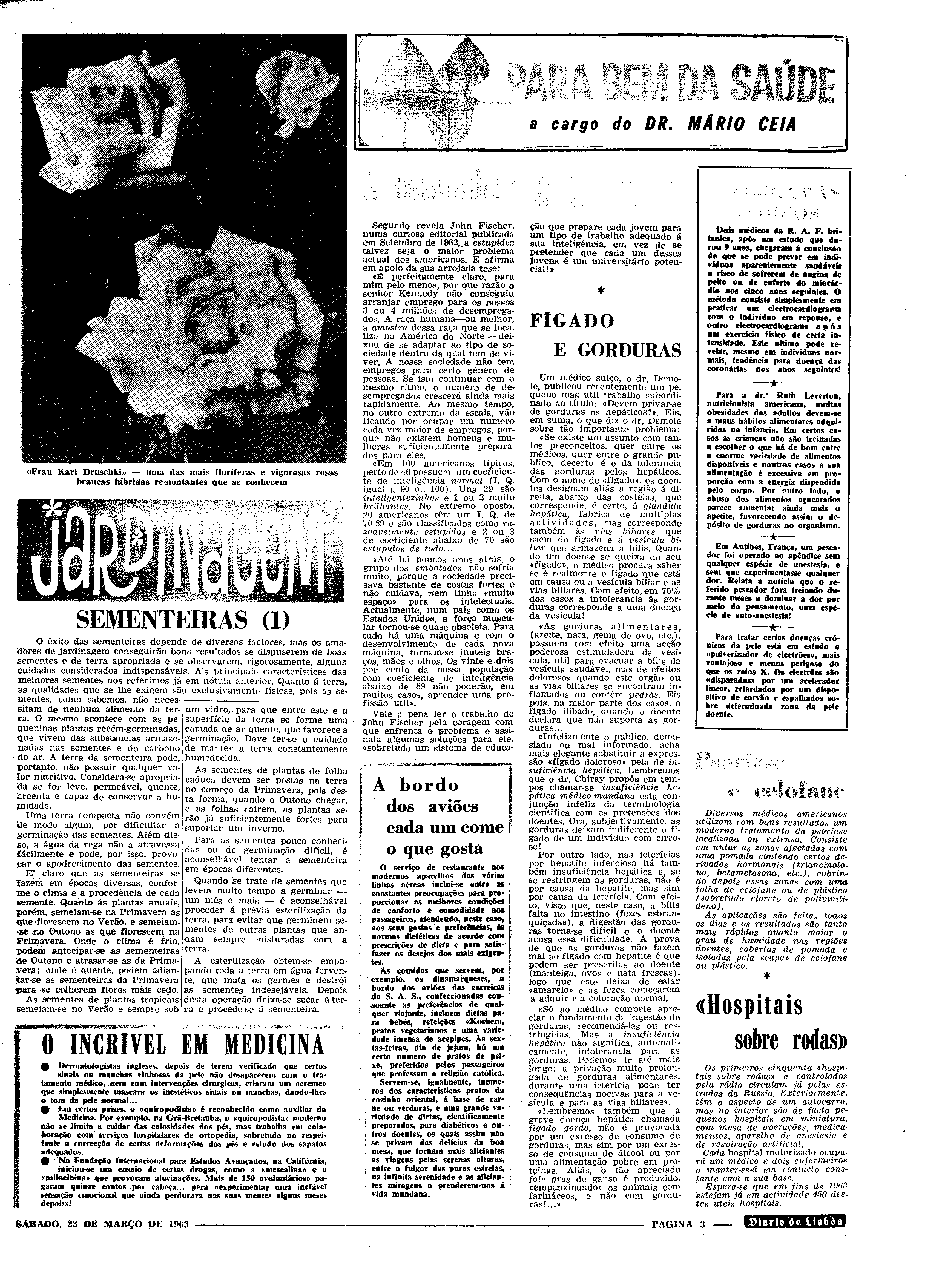 06548.086.18234- pag.19