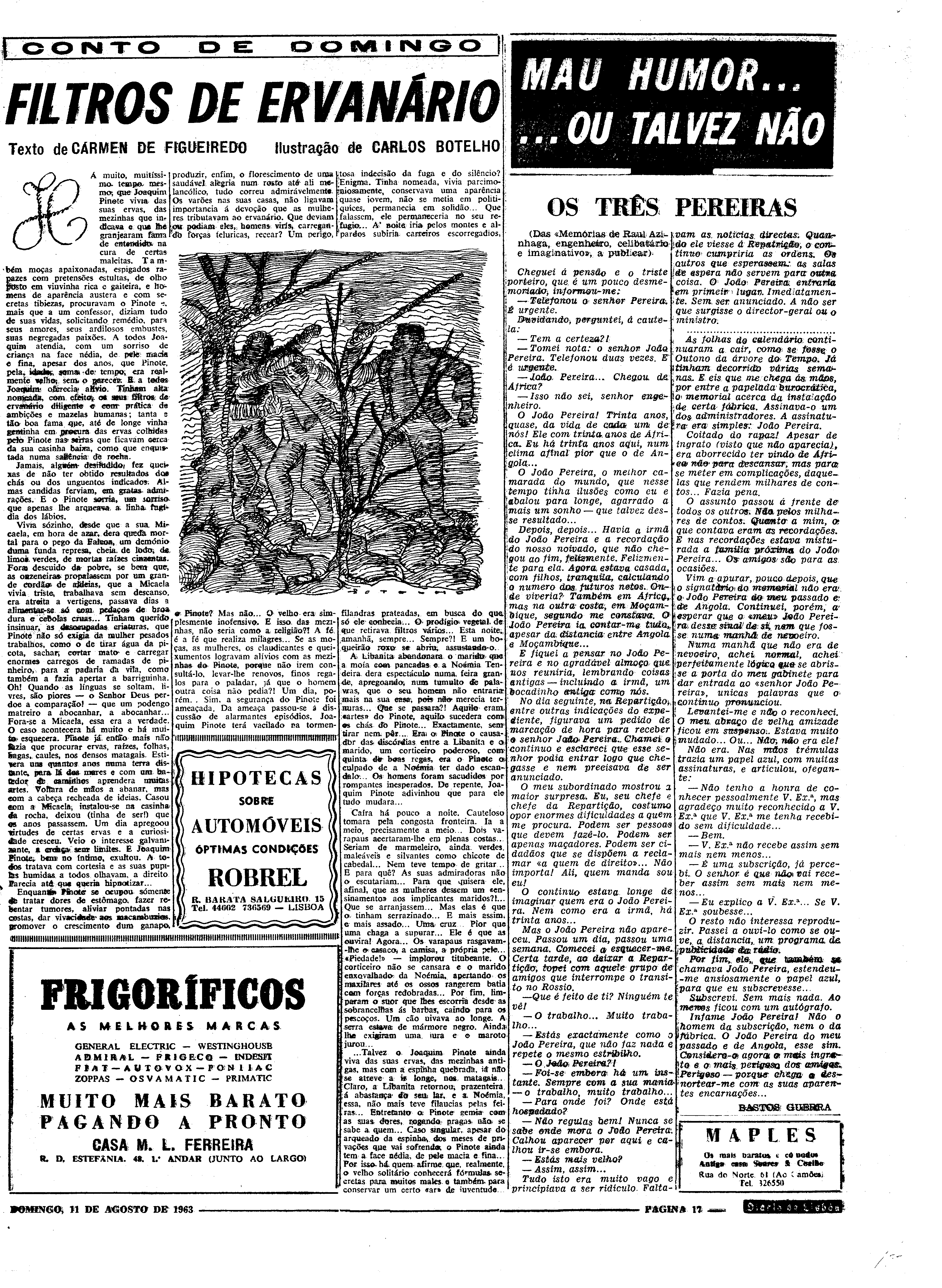 06550.088.18436- pag.17