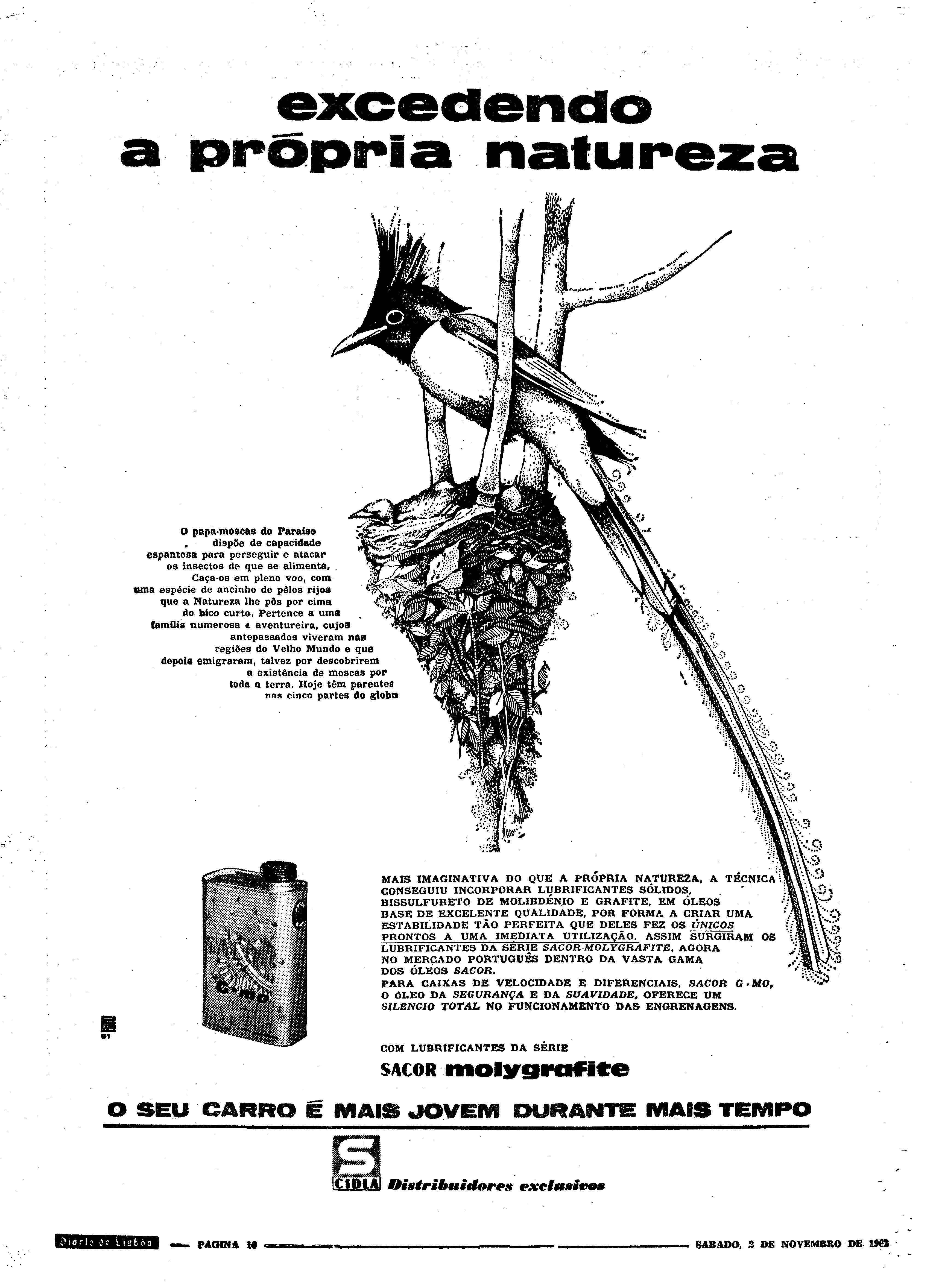 06551.089.18565- pag.32