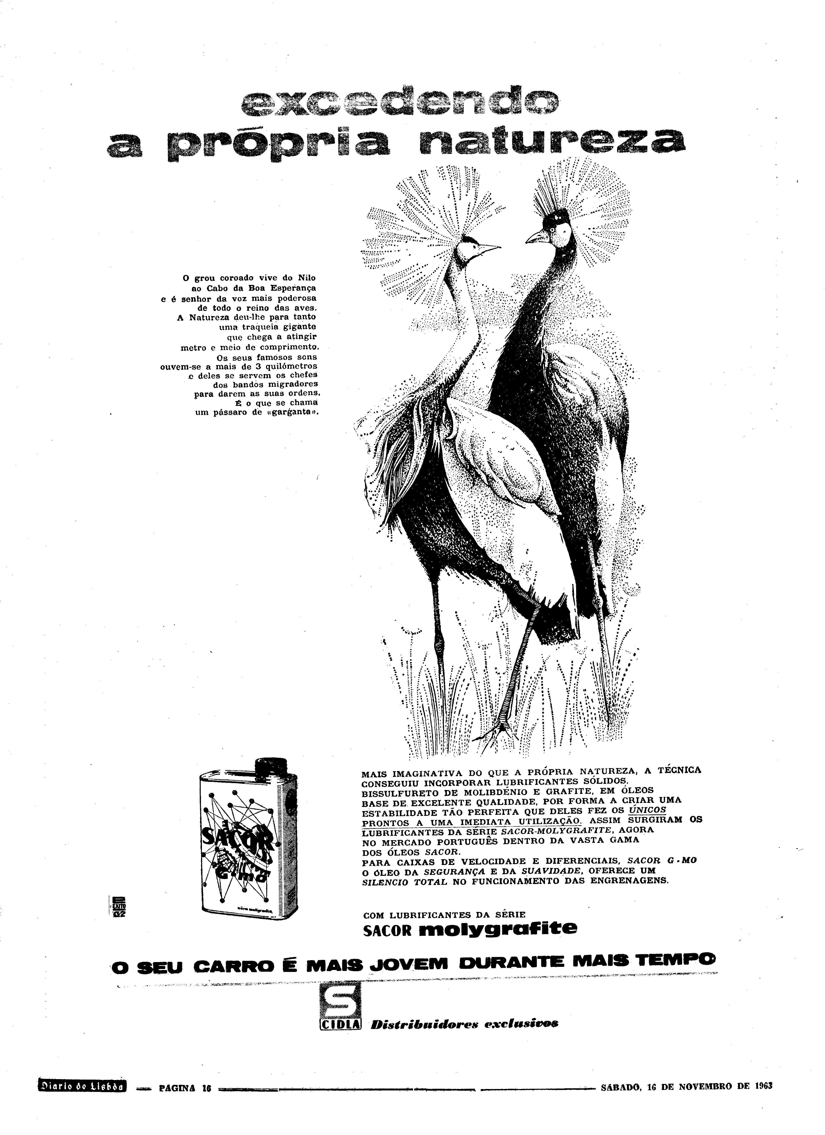 06551.089.18594- pag.32