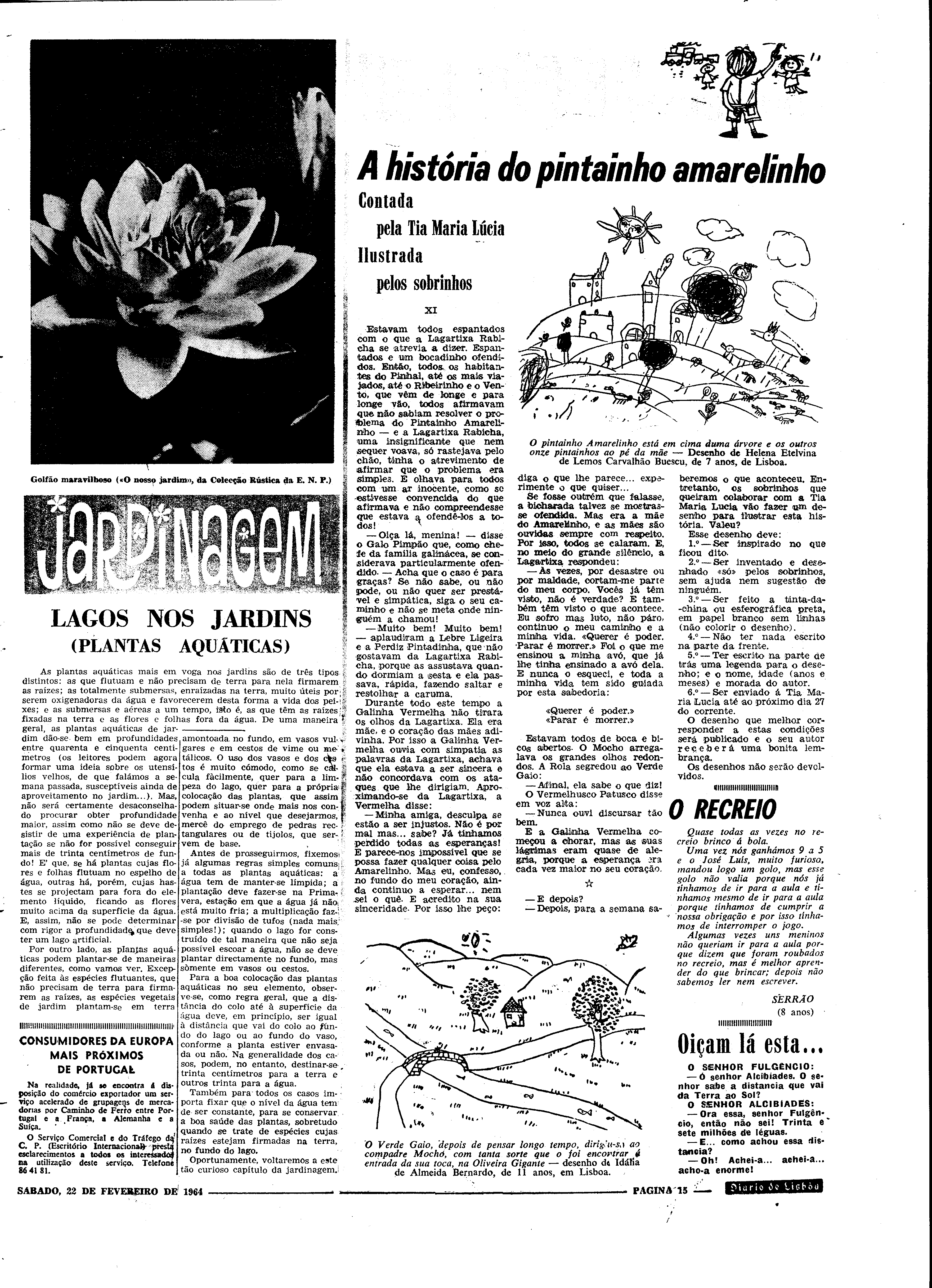 06552.090.18776- pag.31