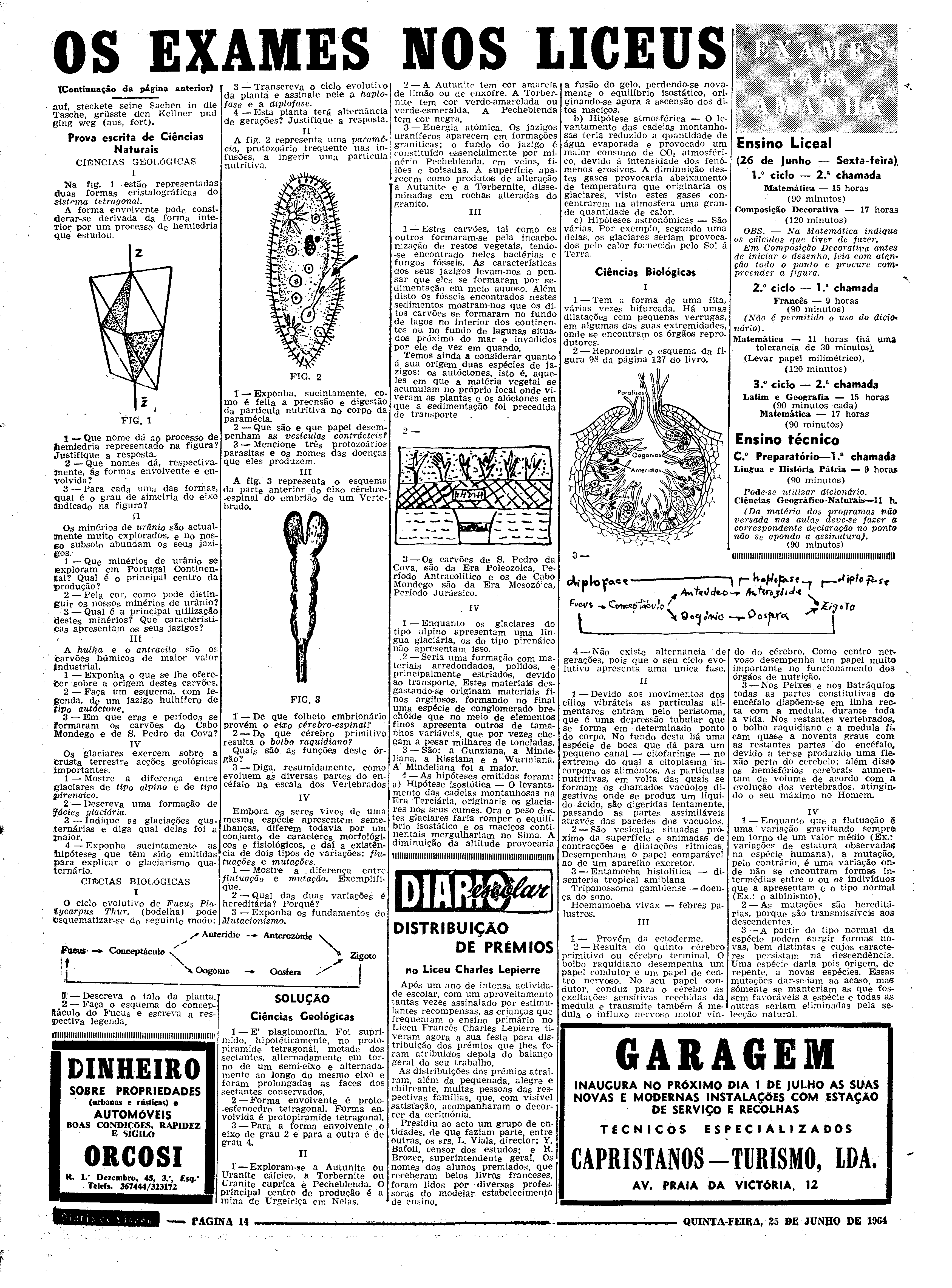 06554.092.19001- pag.14