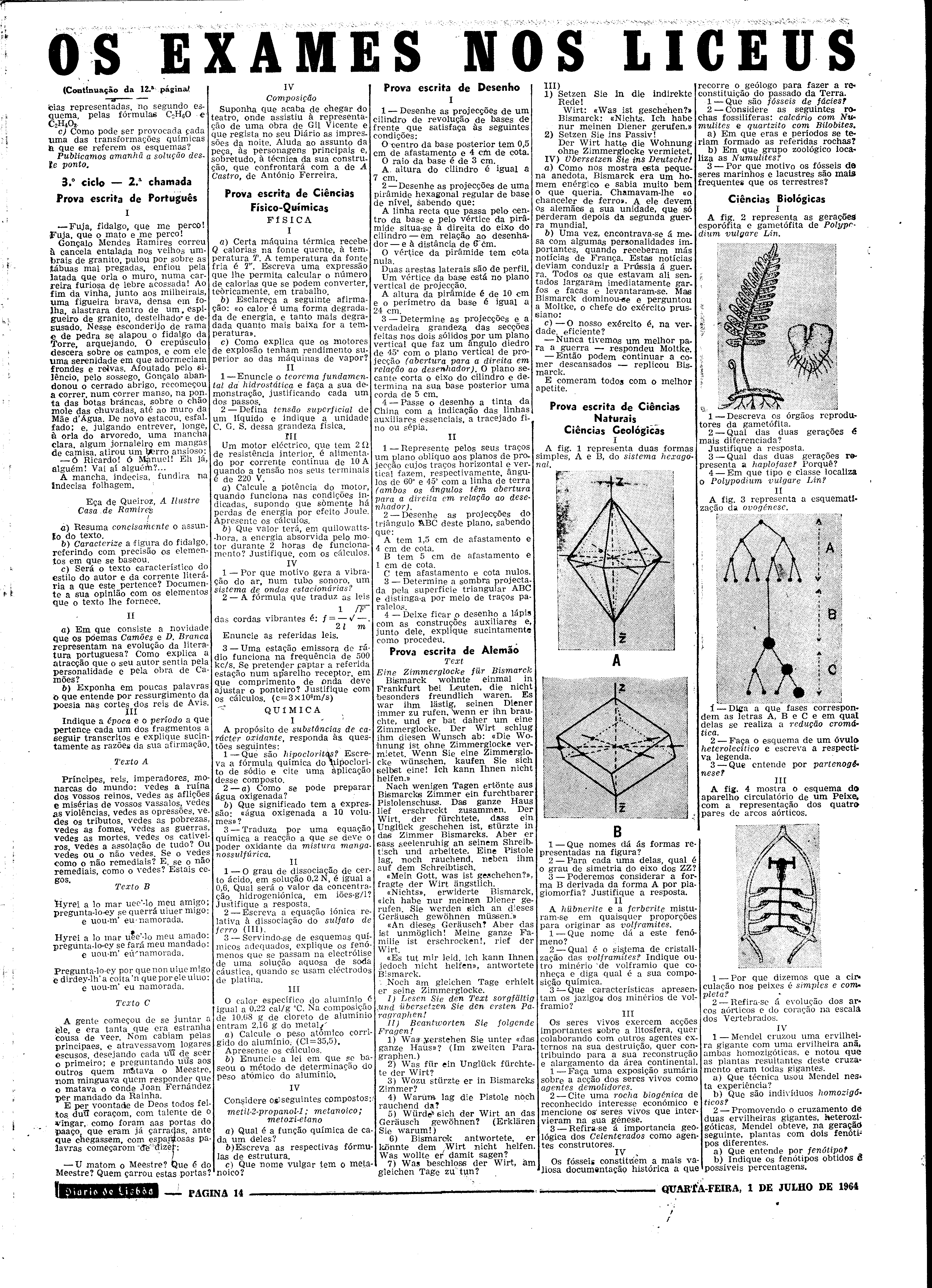 06555.093.19013- pag.14