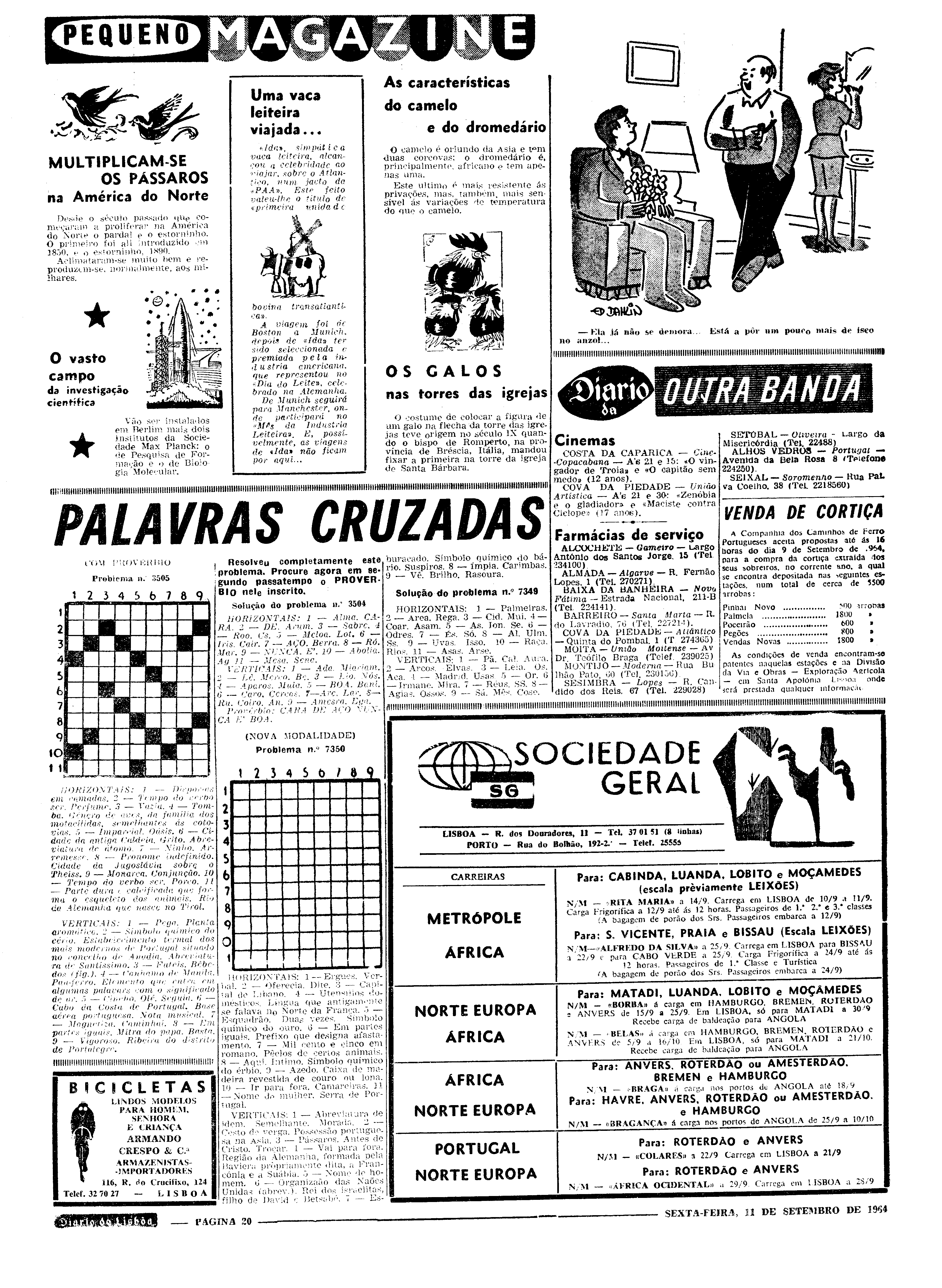 06556.094.19140- pag.20