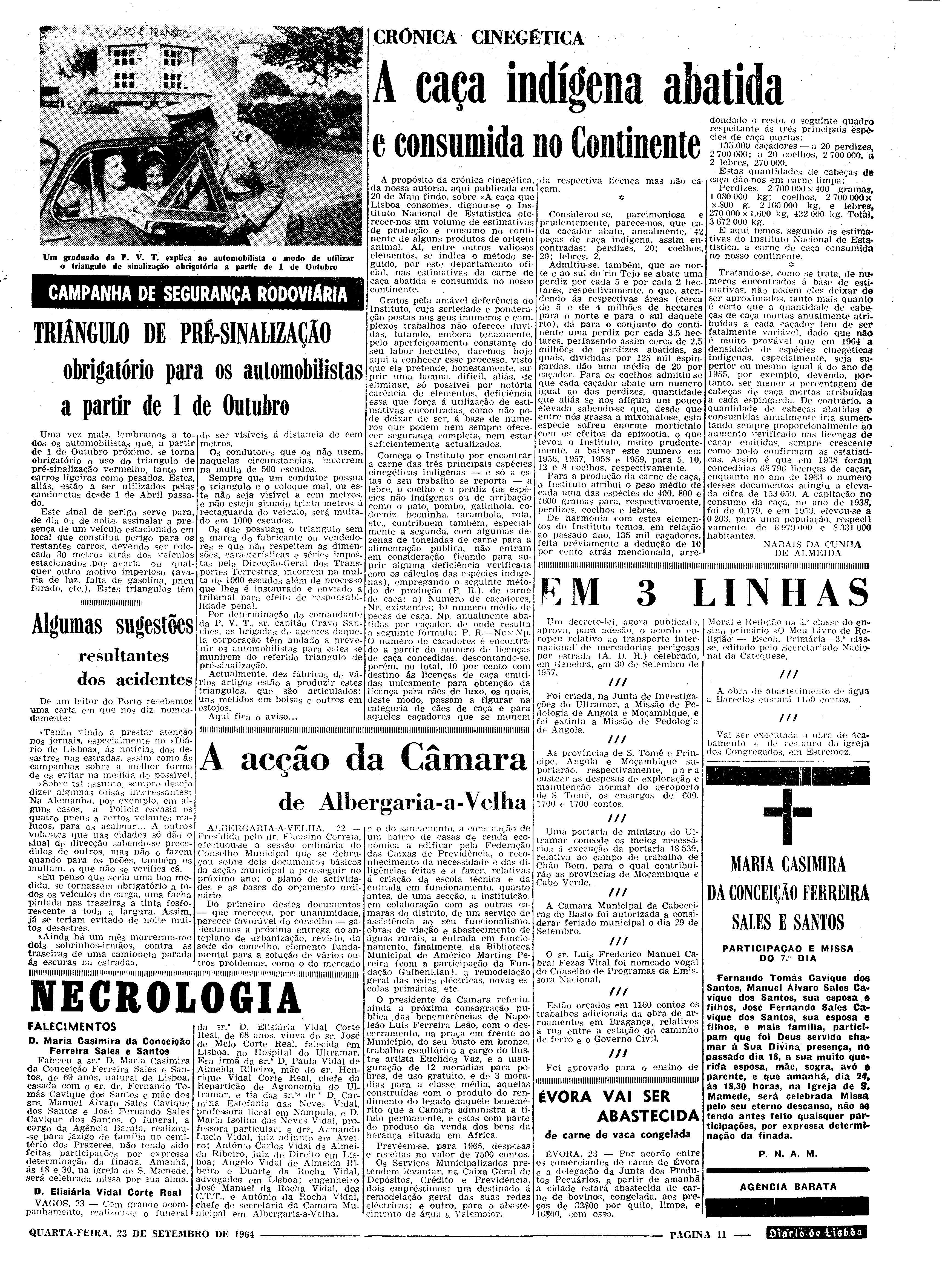 06556.094.19161- pag.11