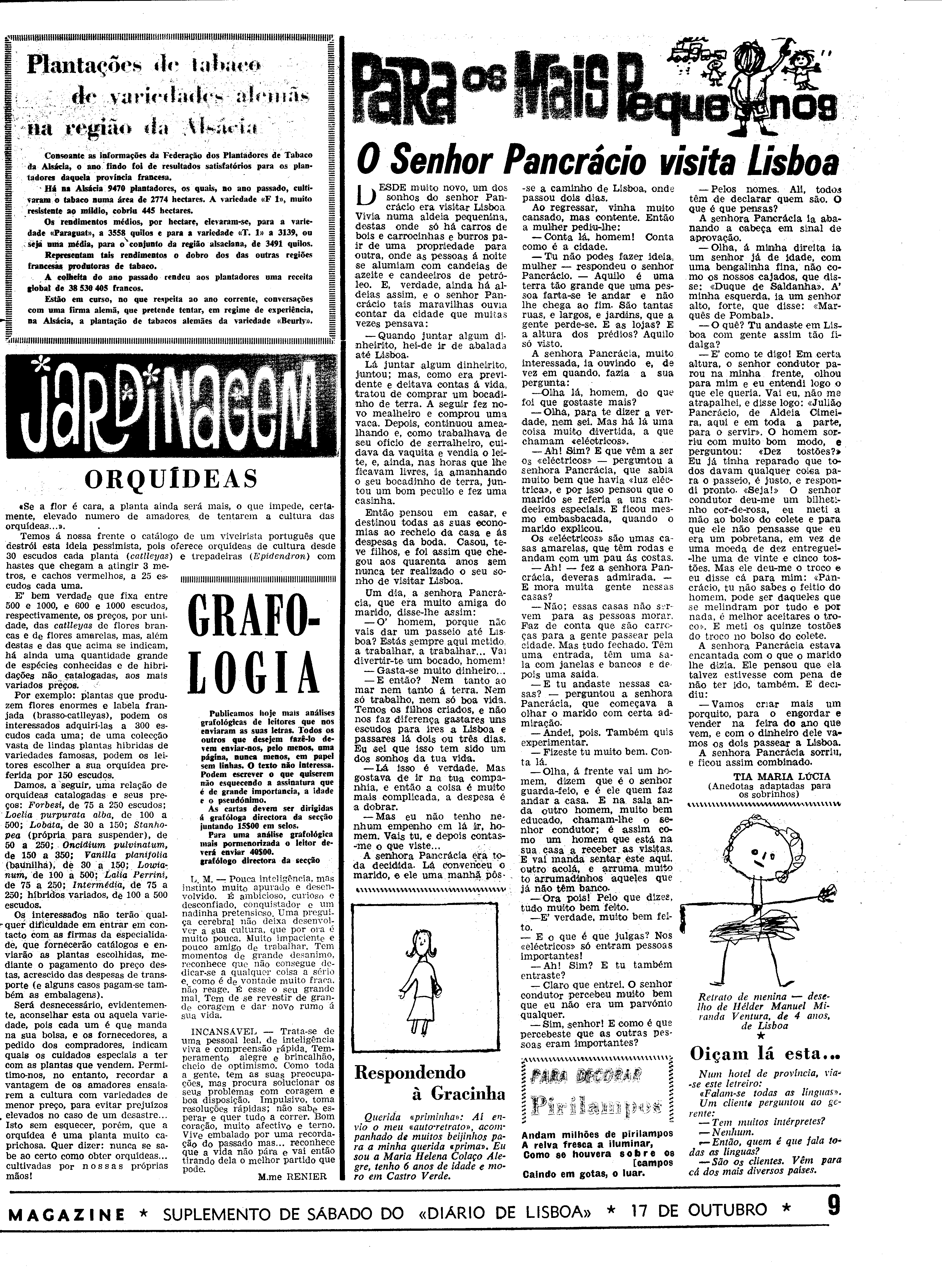 06556.094.19193- pag.29