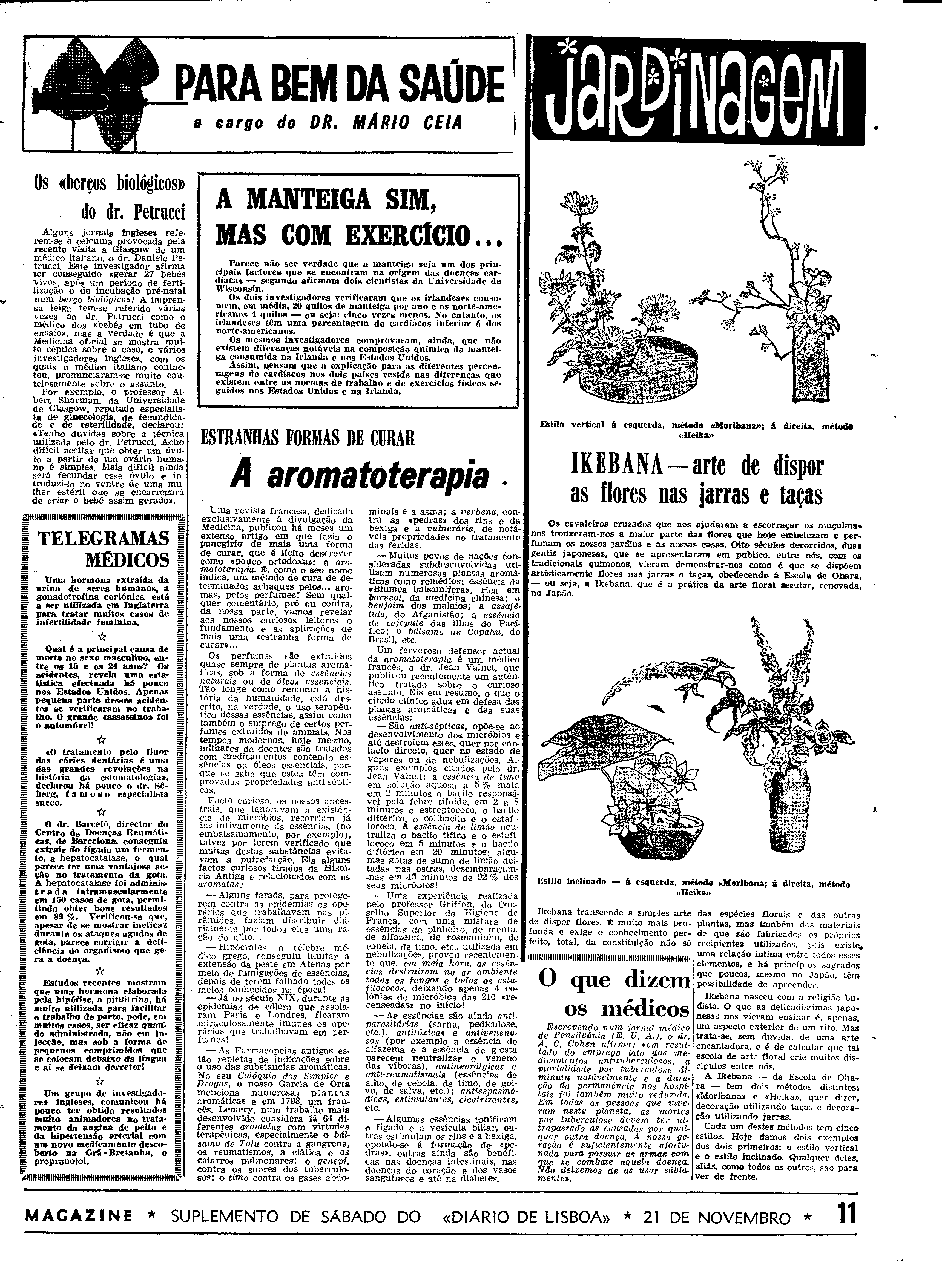 06556.094.19244- pag.31