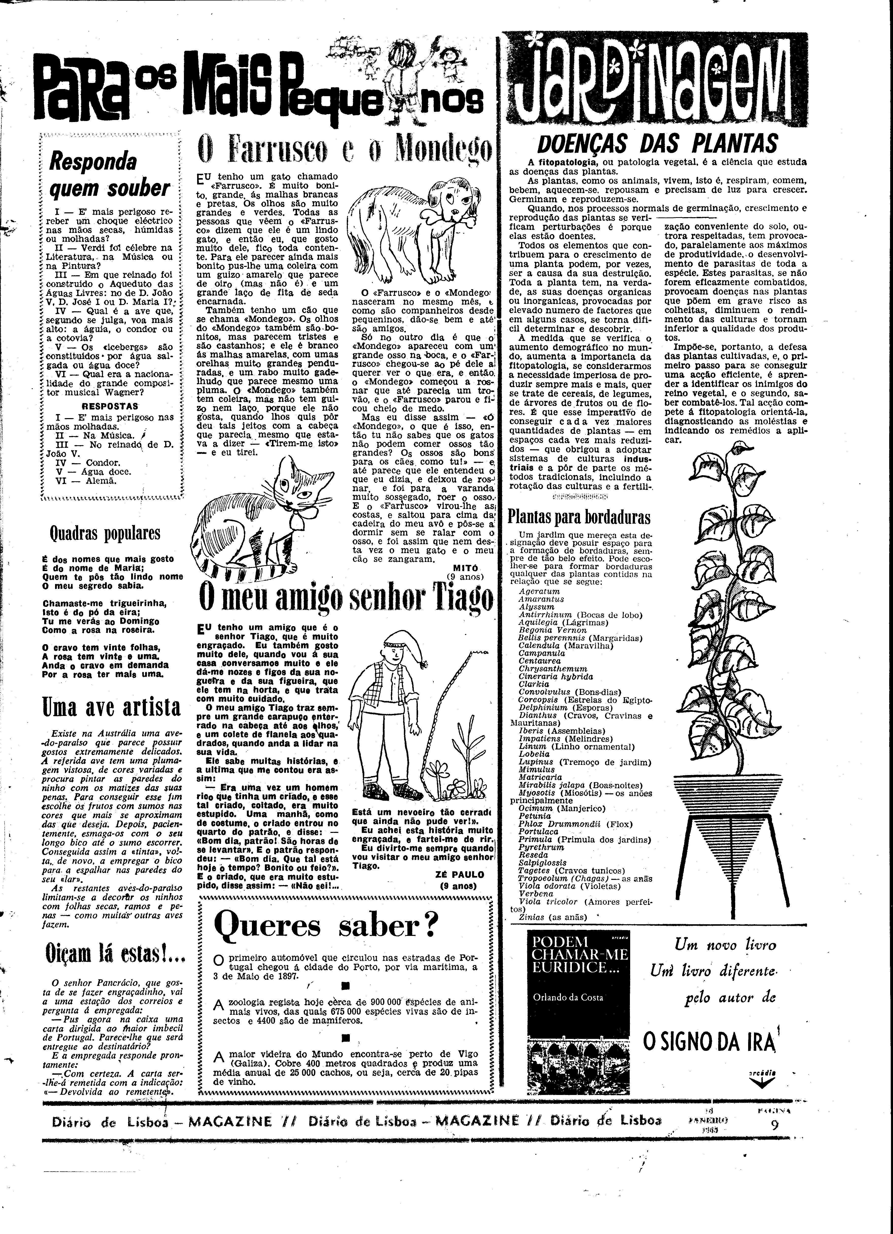 06557.095.19323- pag.29