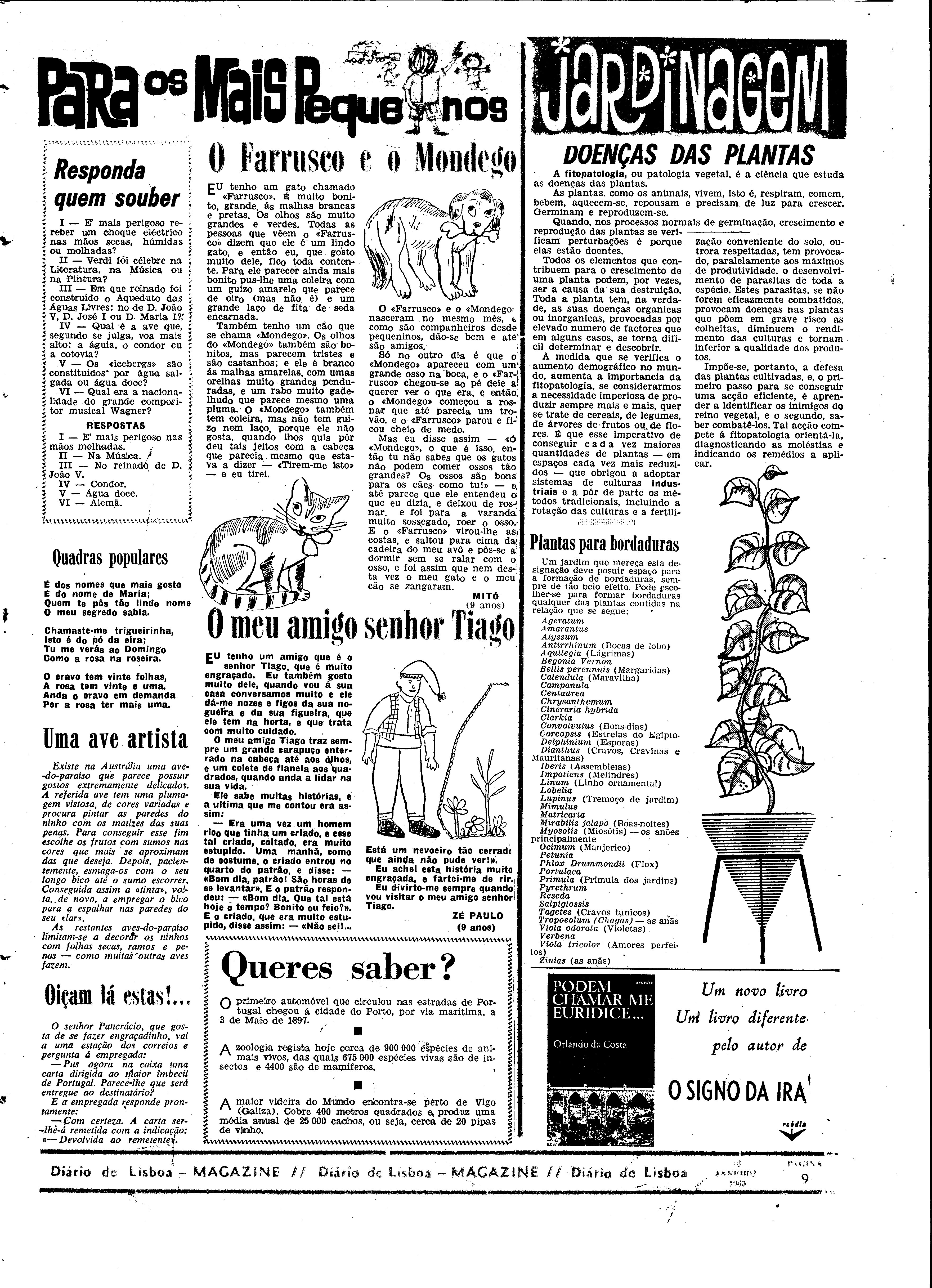 06557.095.19324- pag.29