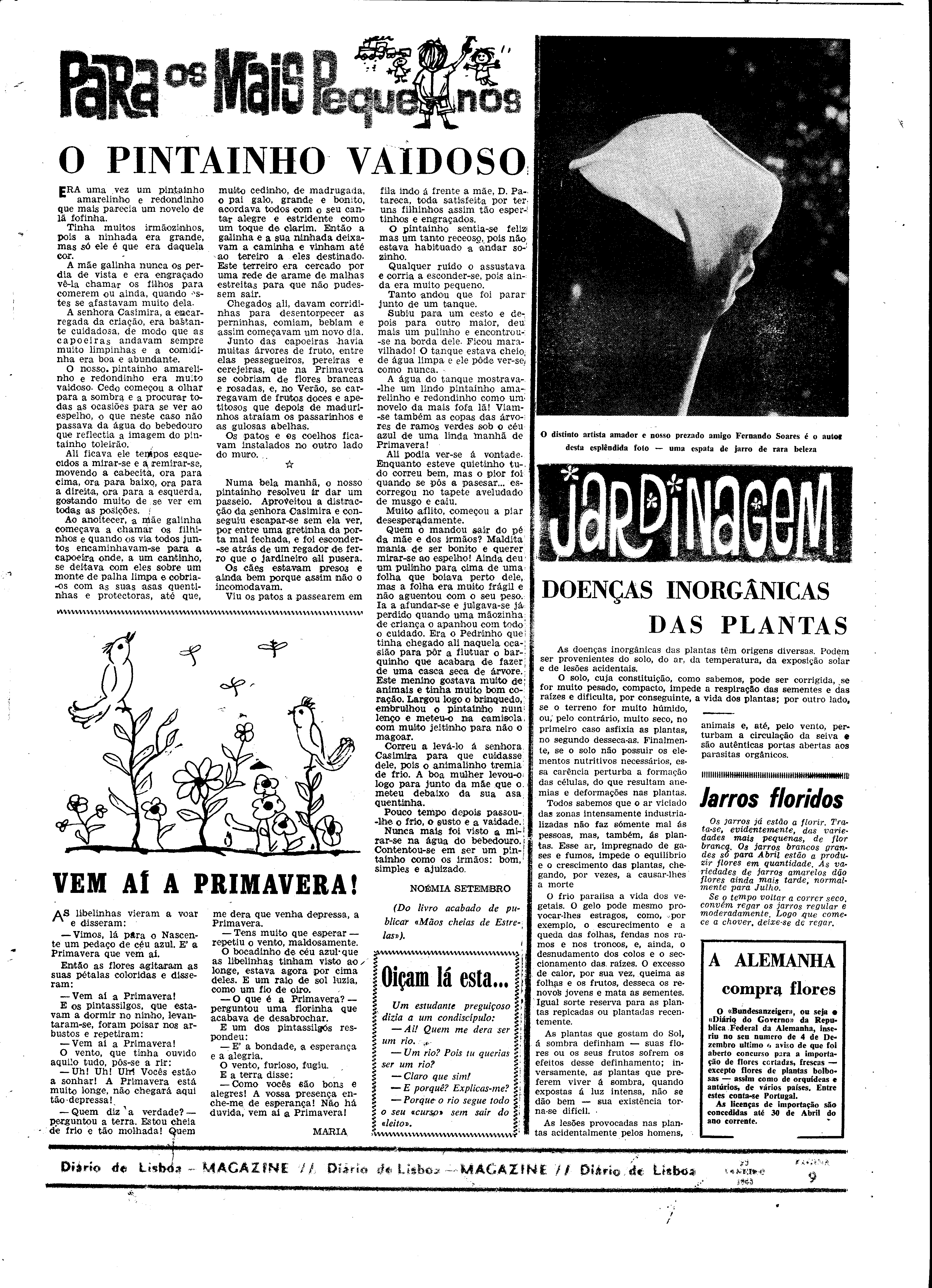 06557.095.19336- pag.29