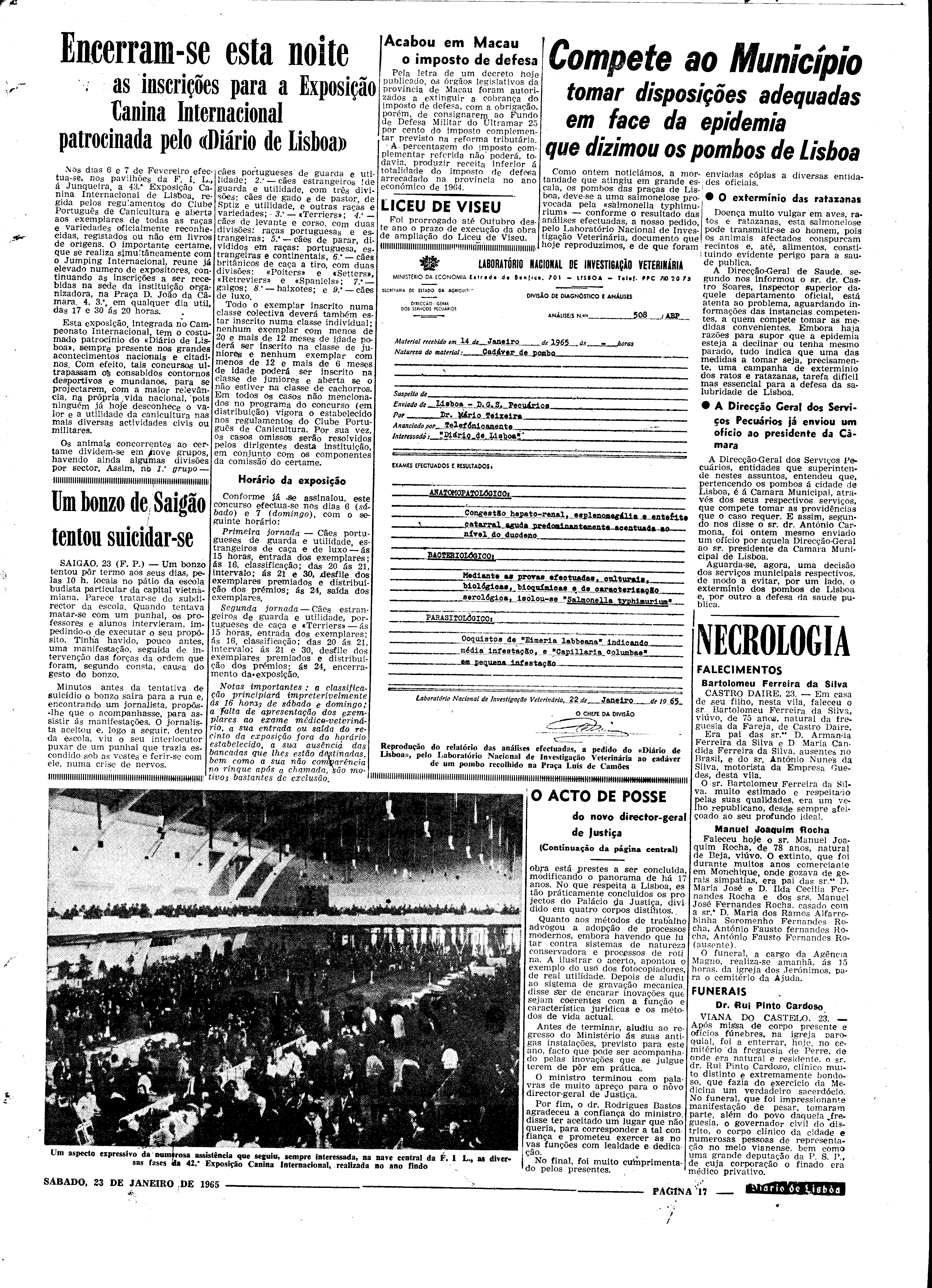 06557.095.19337- pag.17