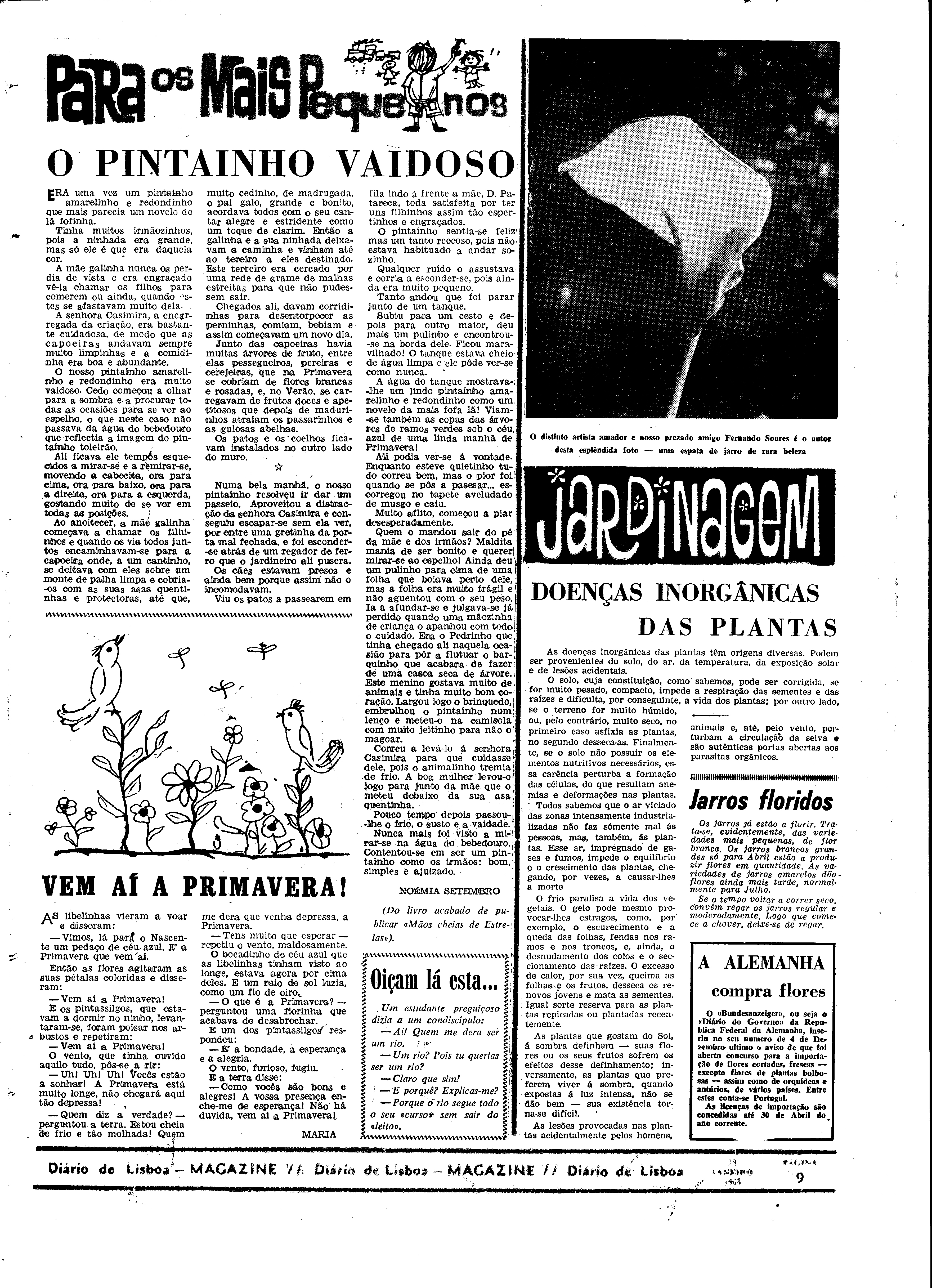 06557.095.19337- pag.29
