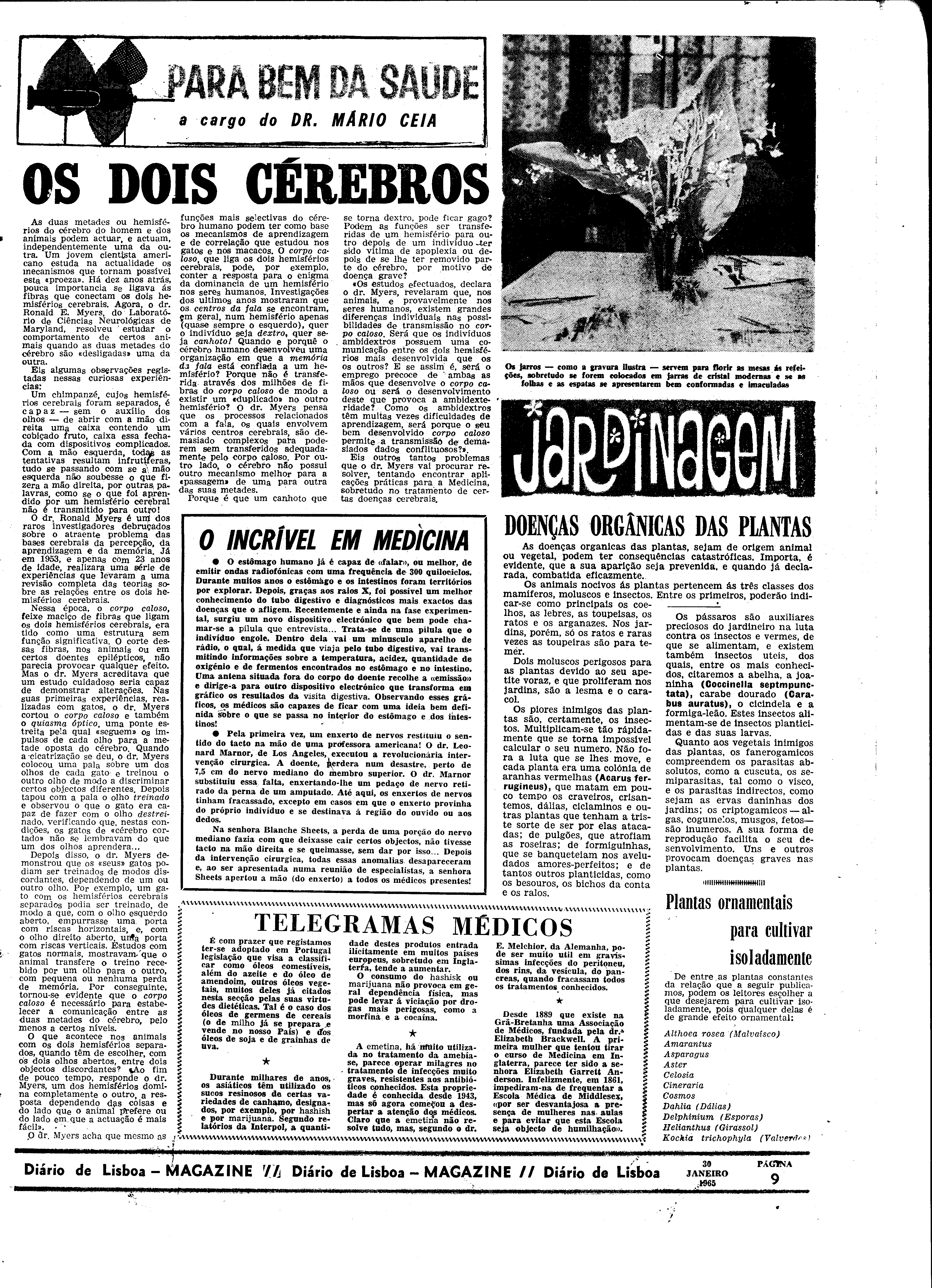 06557.095.19348- pag.29