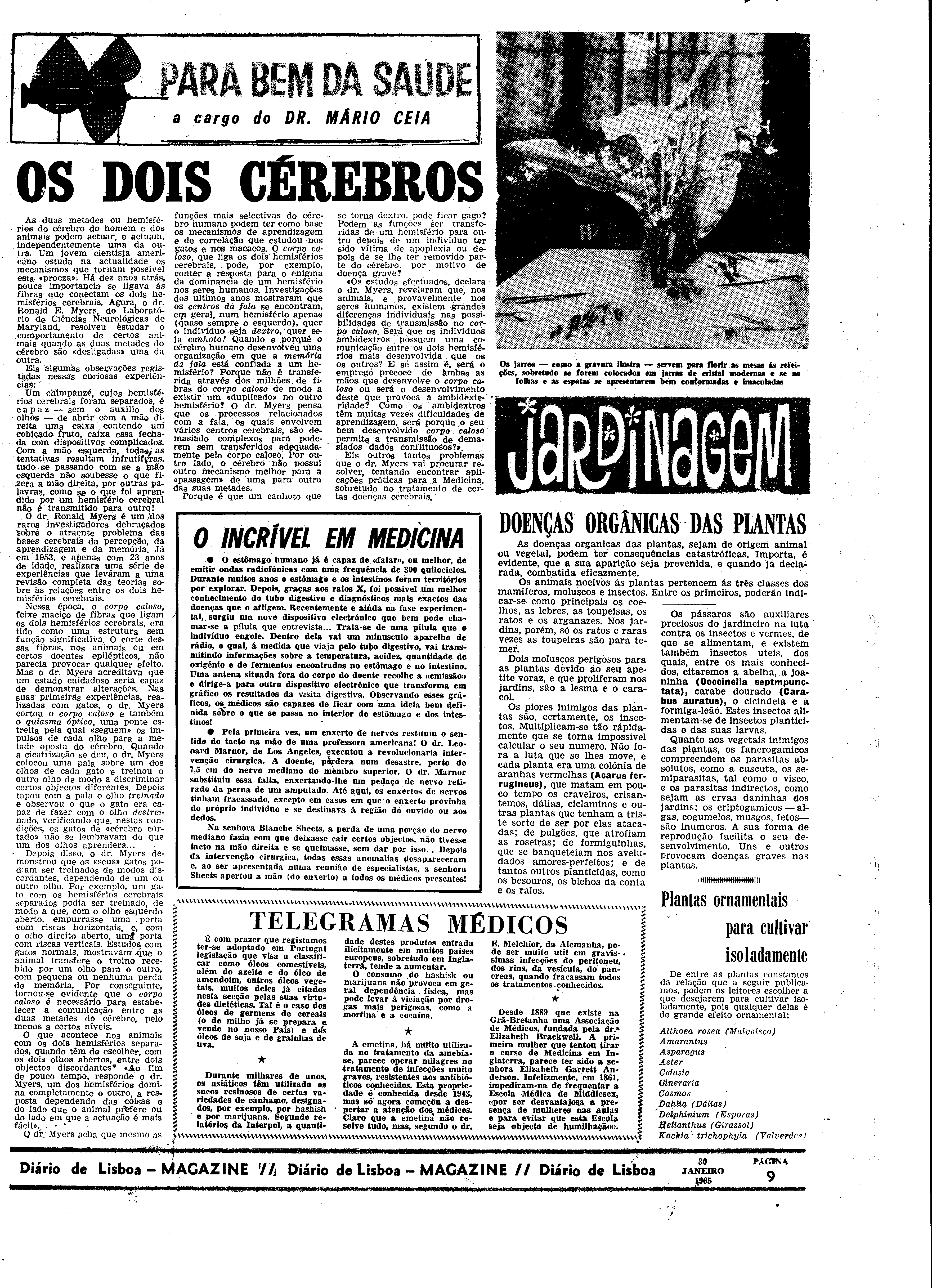 06557.095.19349- pag.29