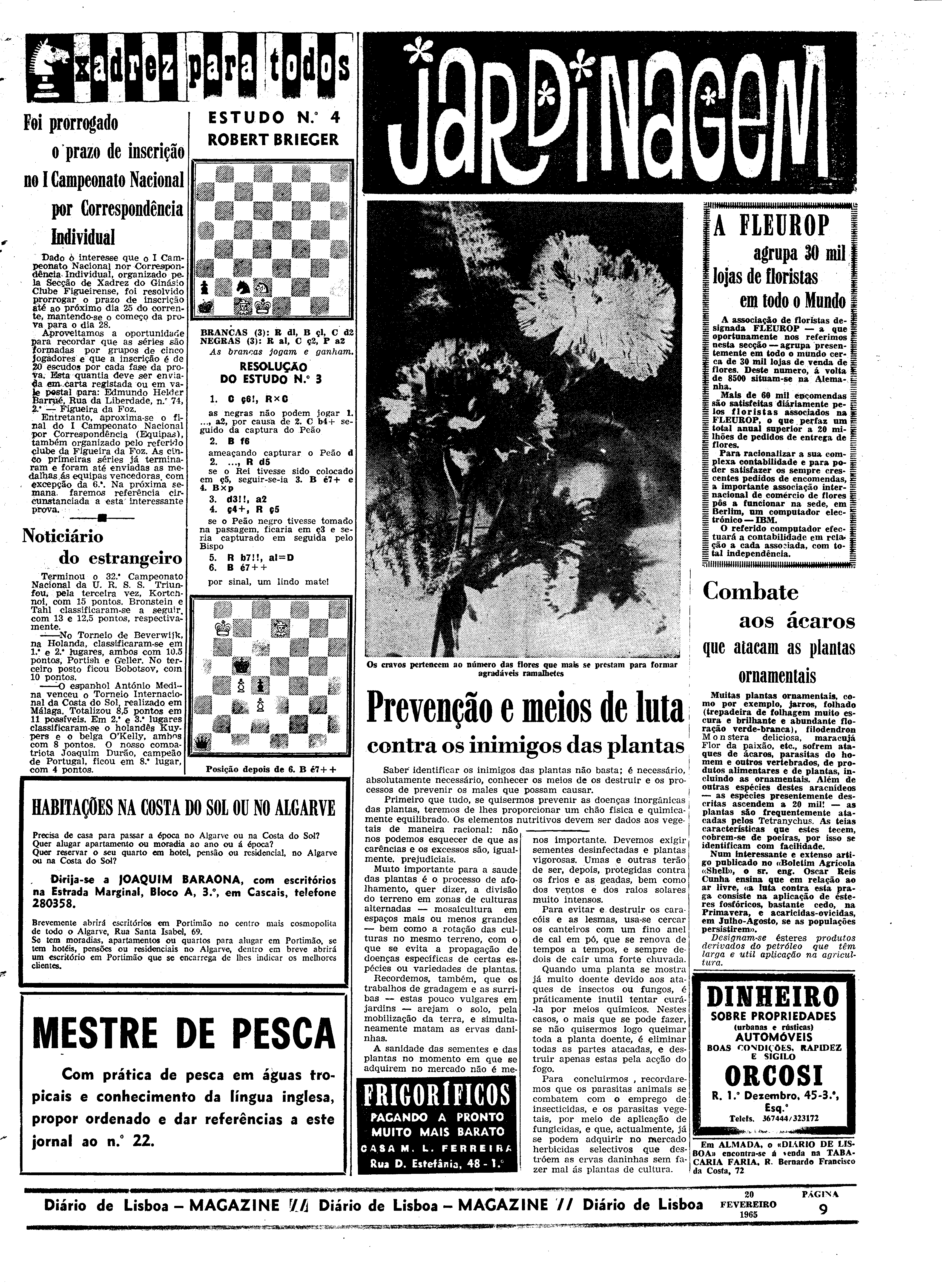 06558.096.19385- pag.29