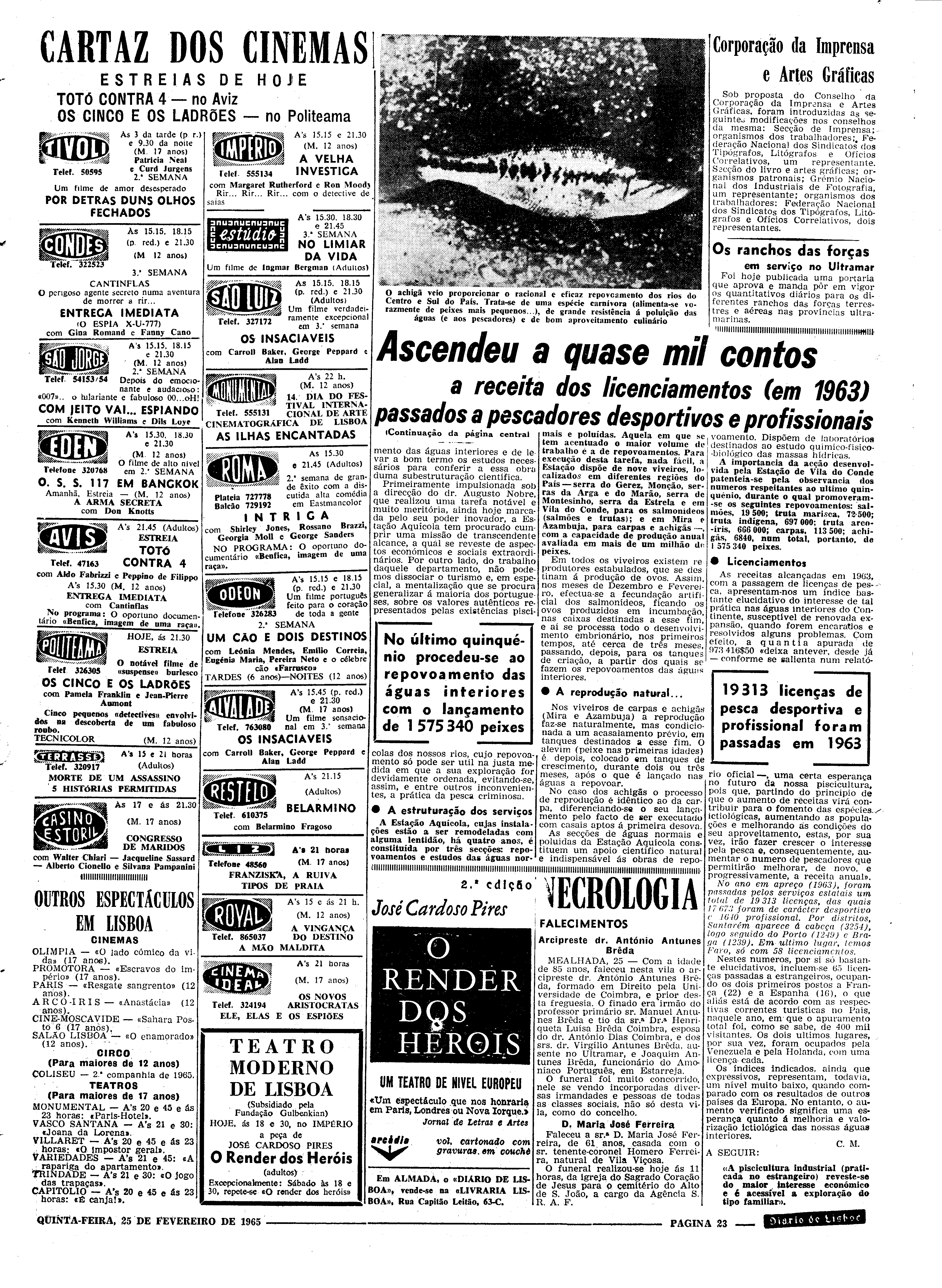 06558.096.19394- pag.23