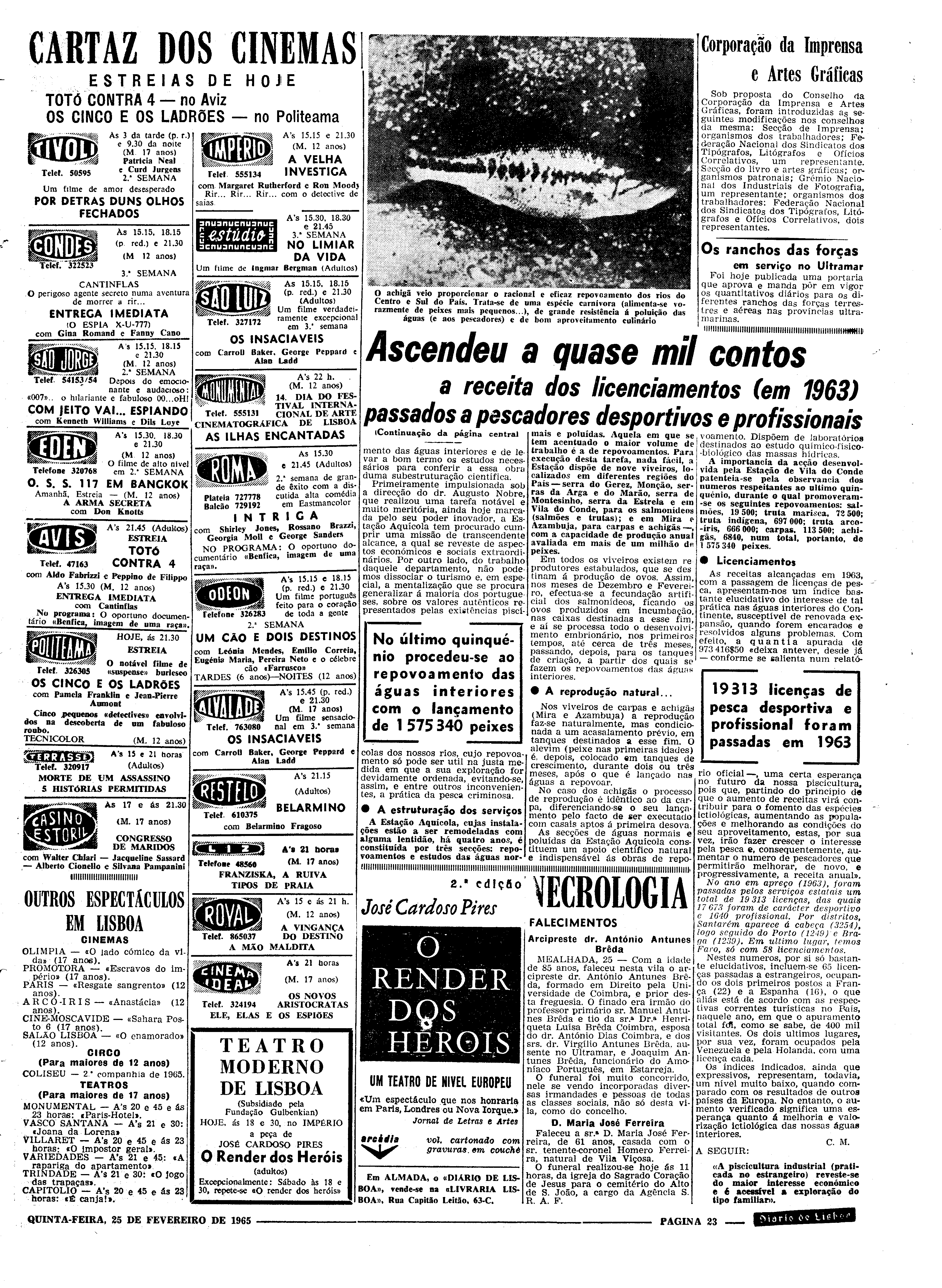 06558.096.19395- pag.23