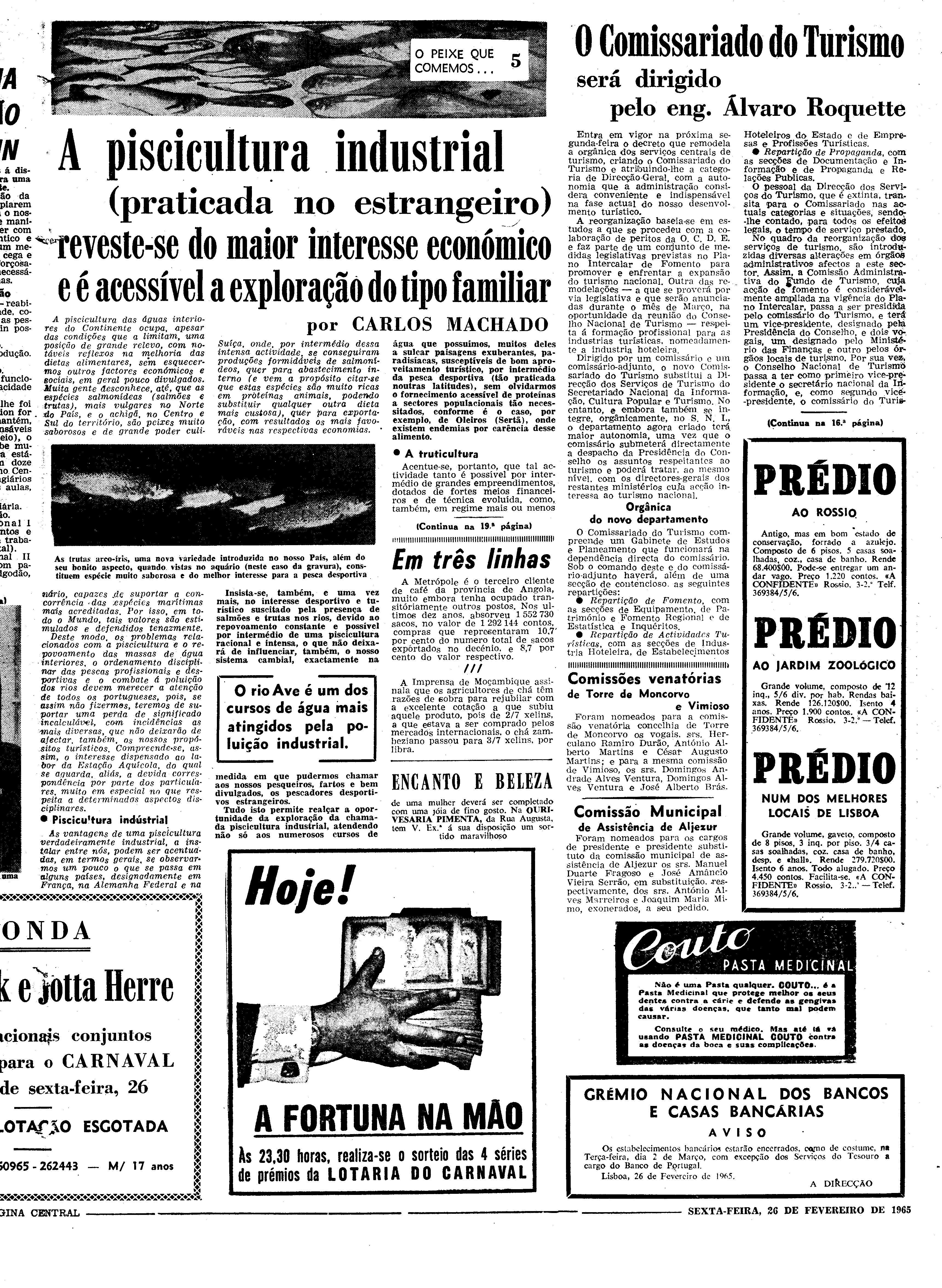 06558.096.19396- pag.11