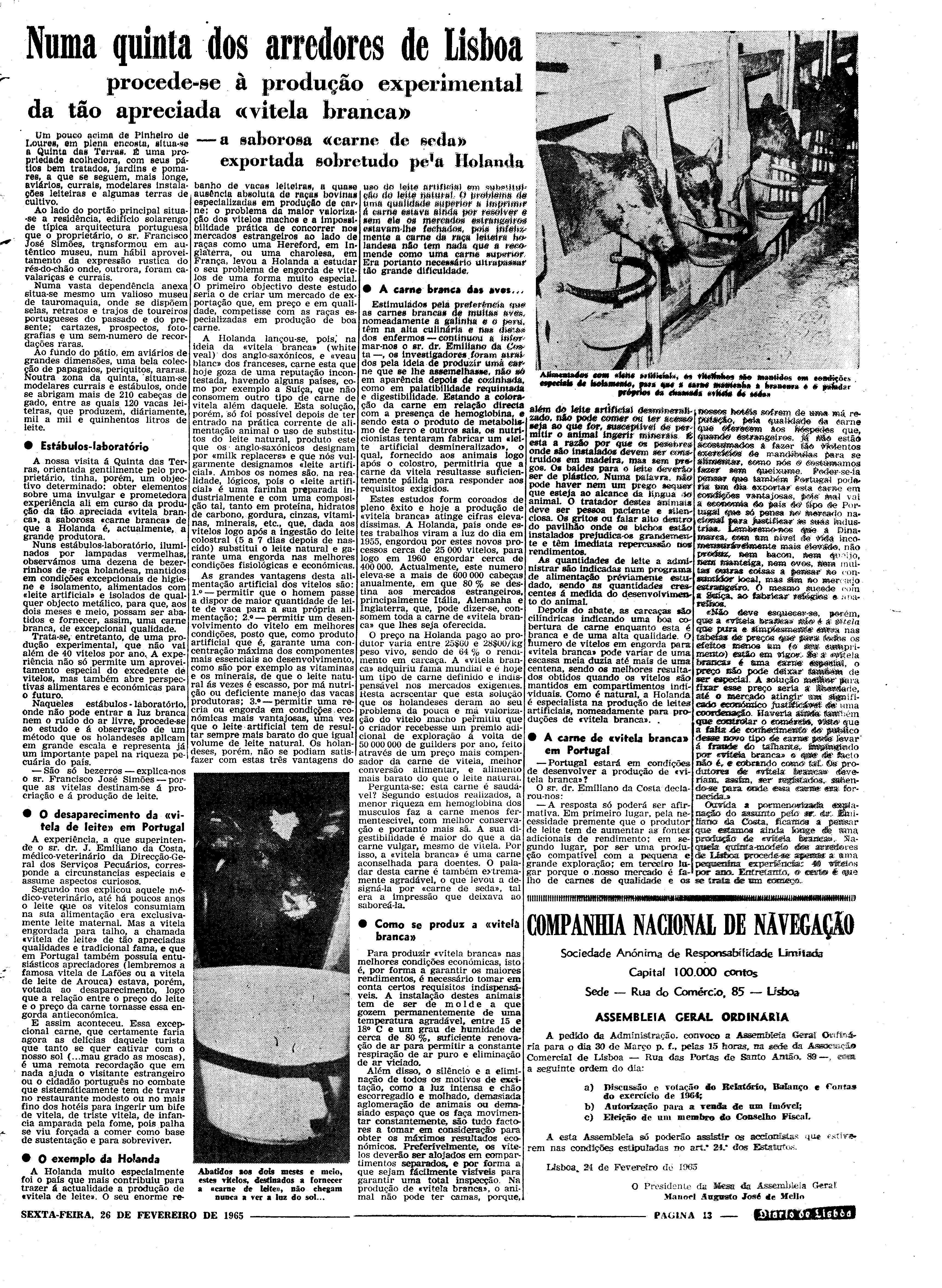06558.096.19396- pag.13