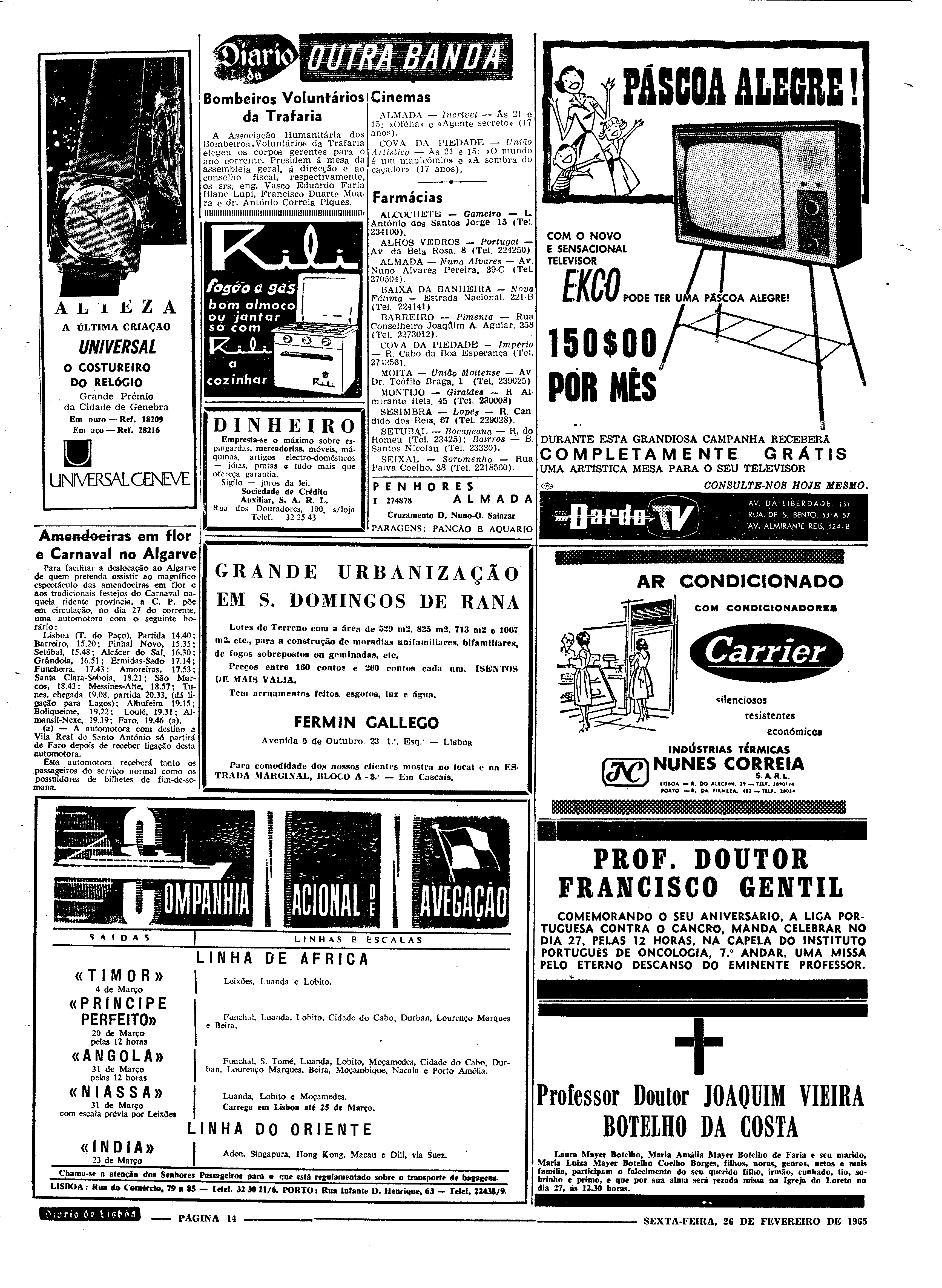 06558.096.19396- pag.14