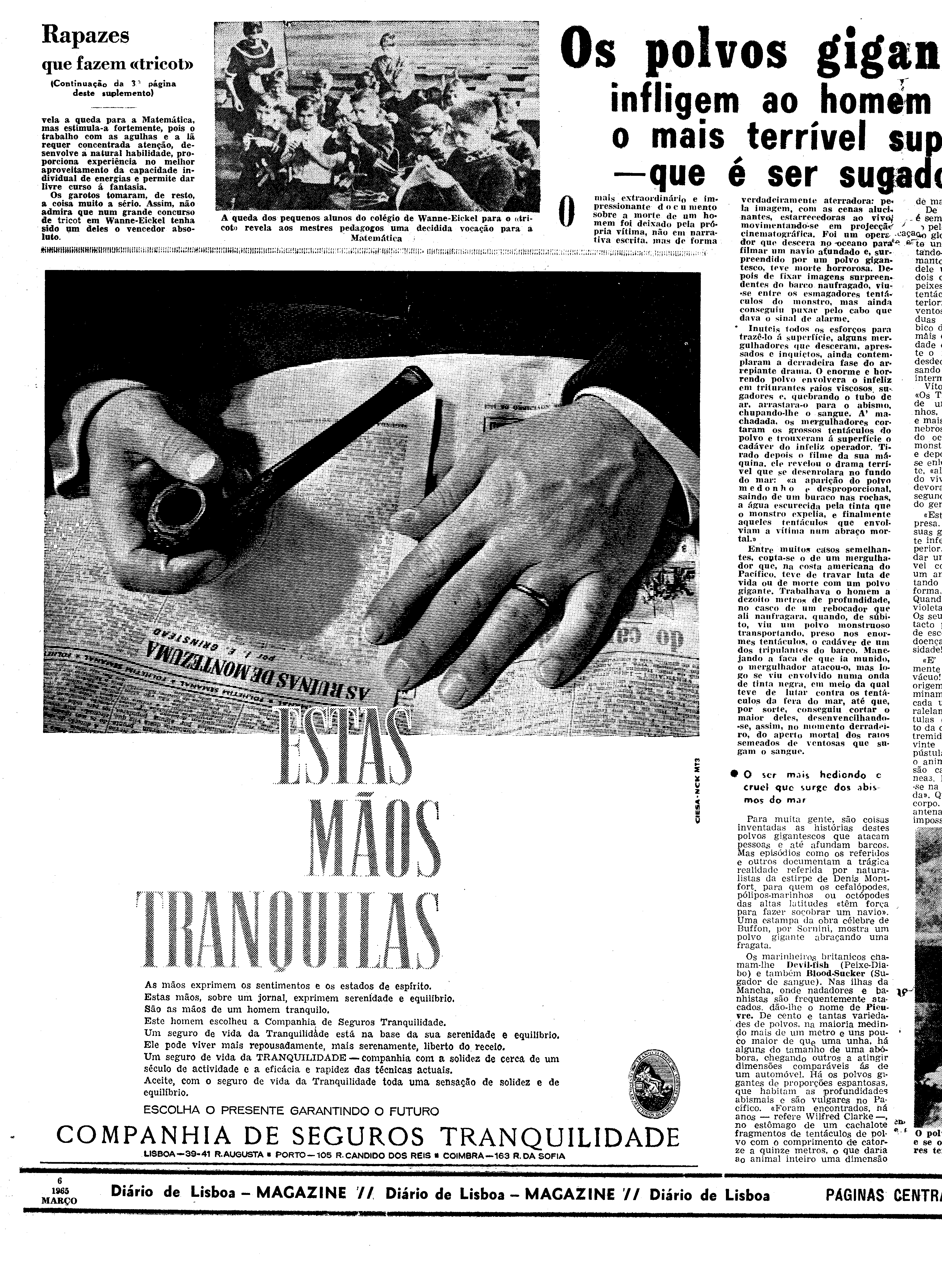 06558.096.19412- pag.26