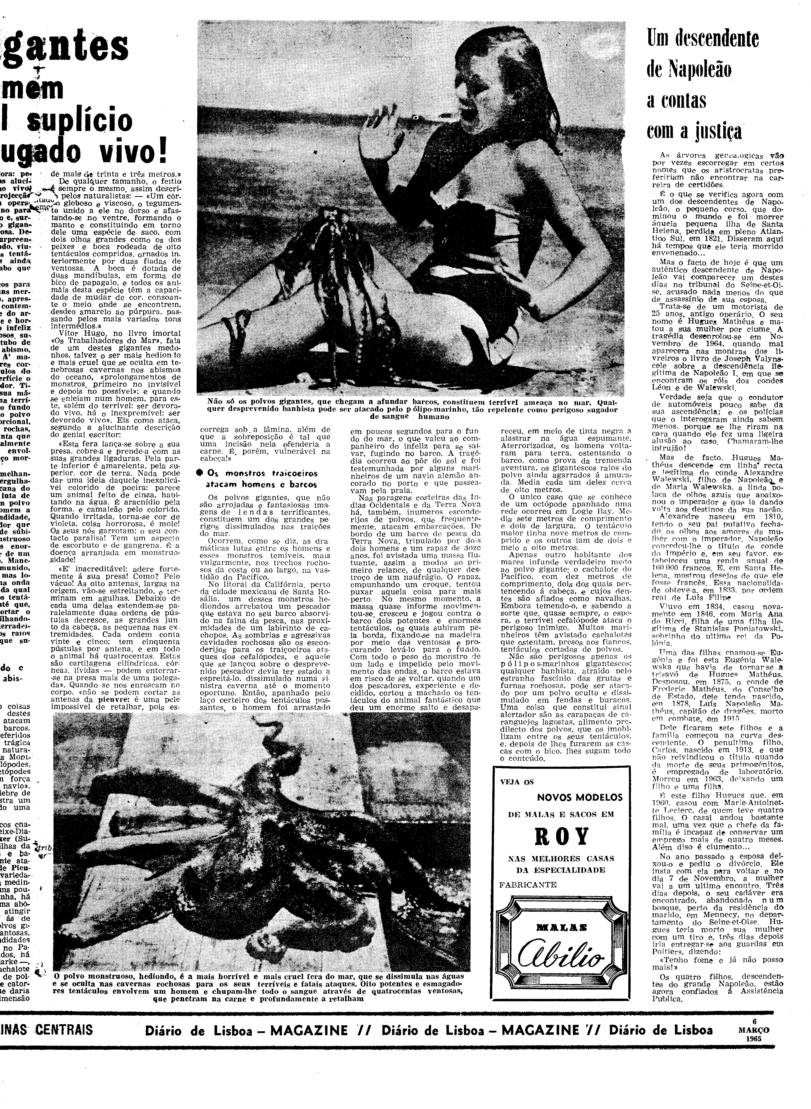 06558.096.19412- pag.27
