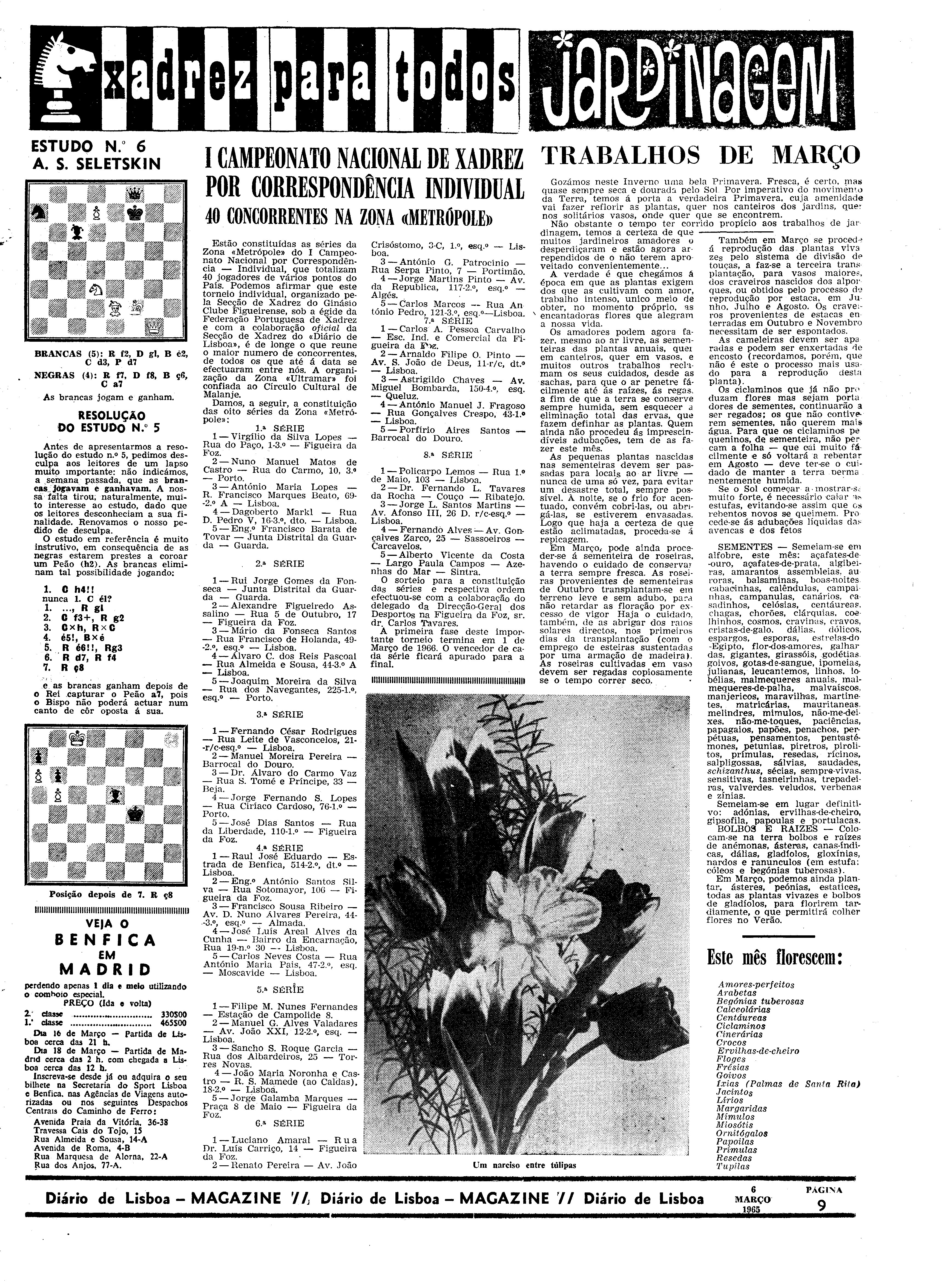 06558.096.19412- pag.29