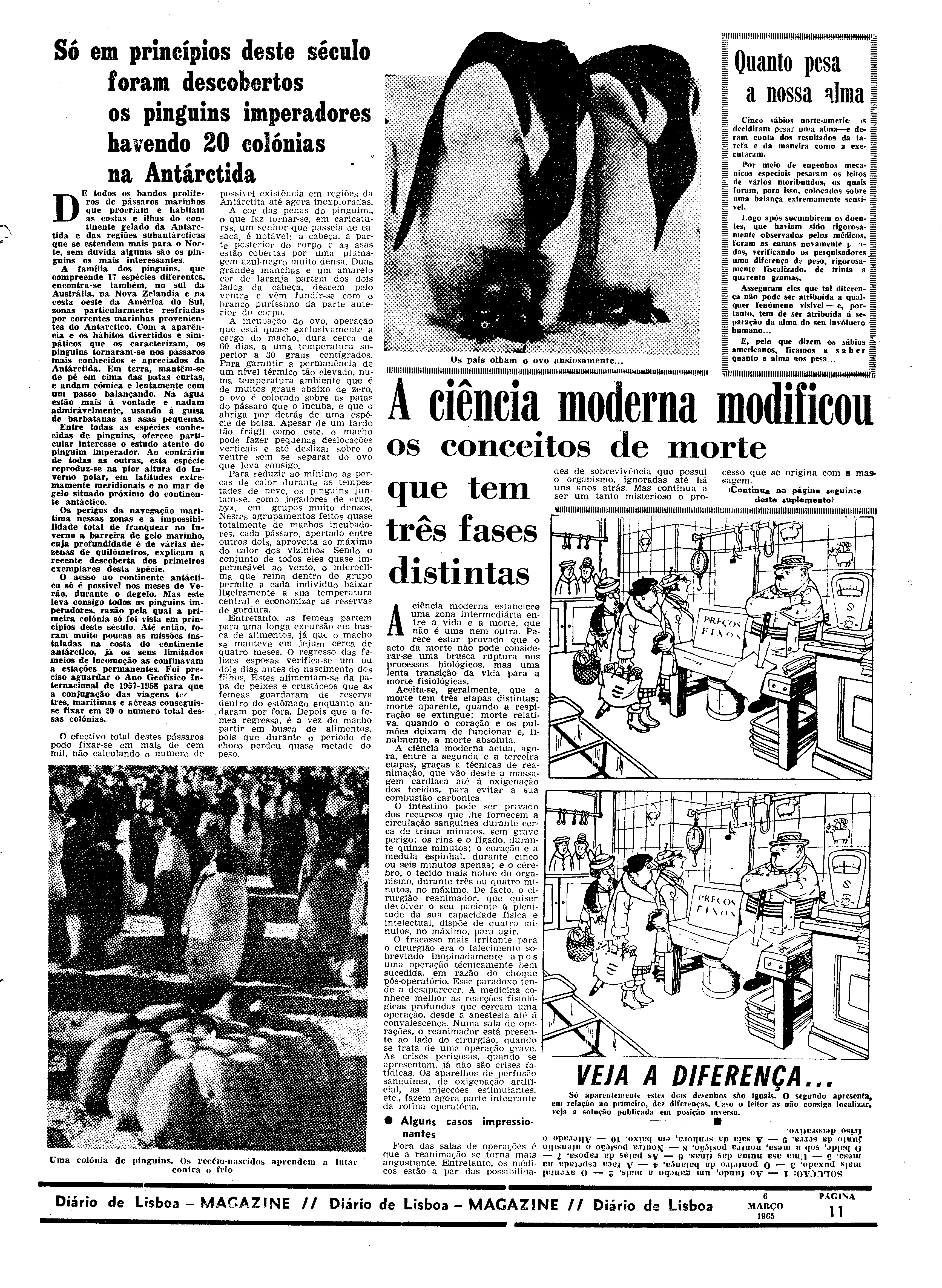 06558.096.19412- pag.31