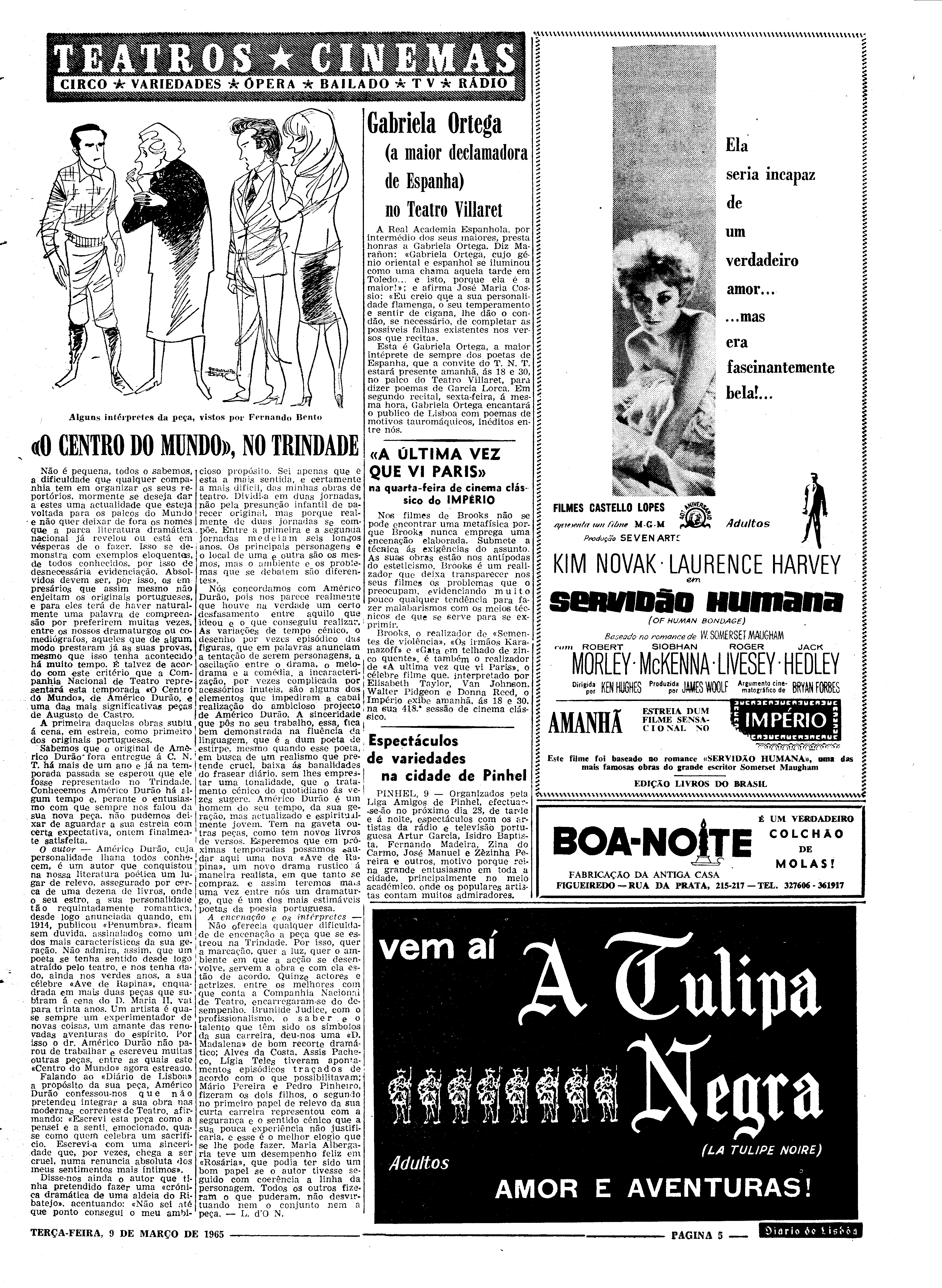 06558.096.19417- pag.5