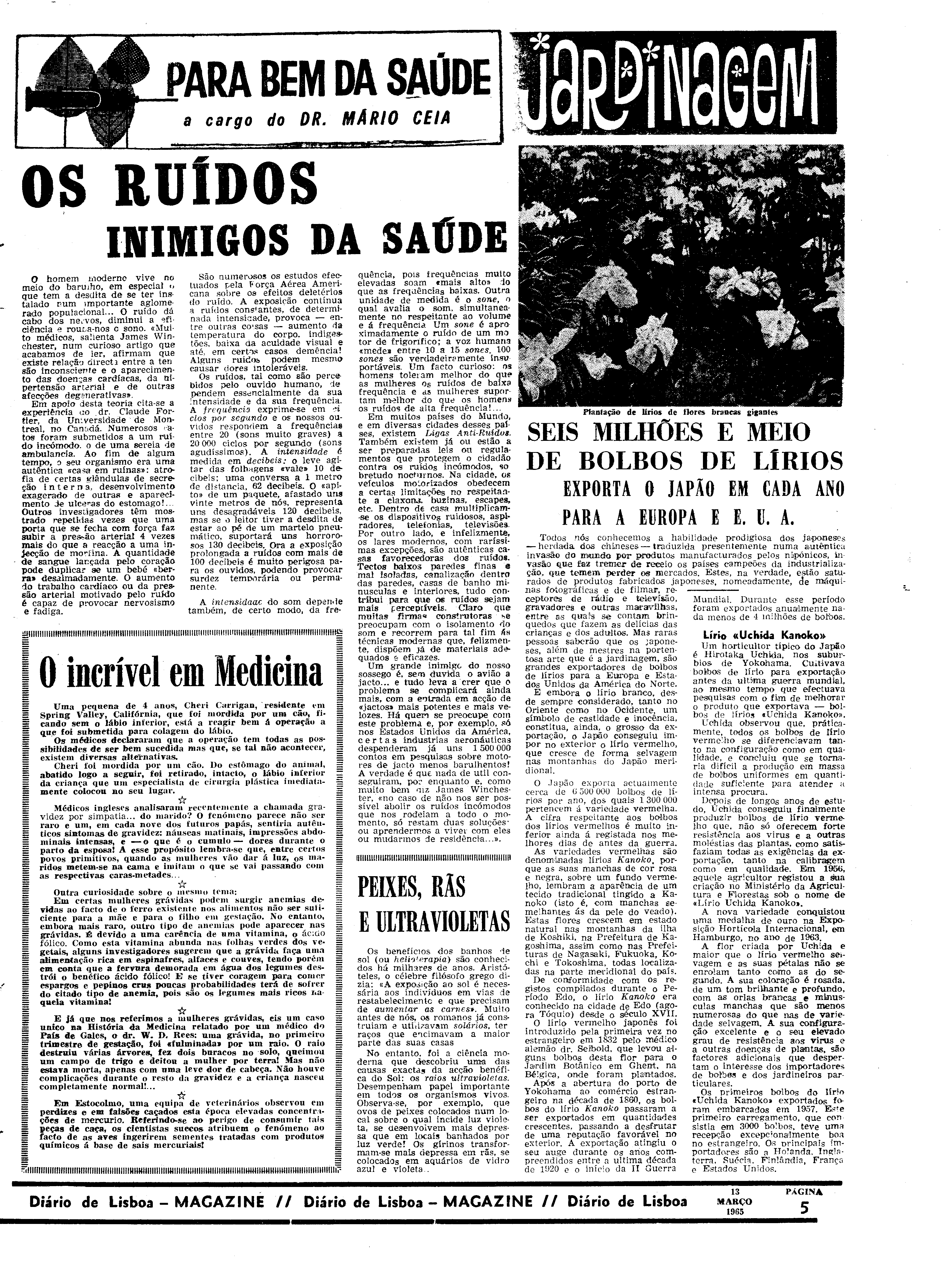 06558.096.19426- pag.25
