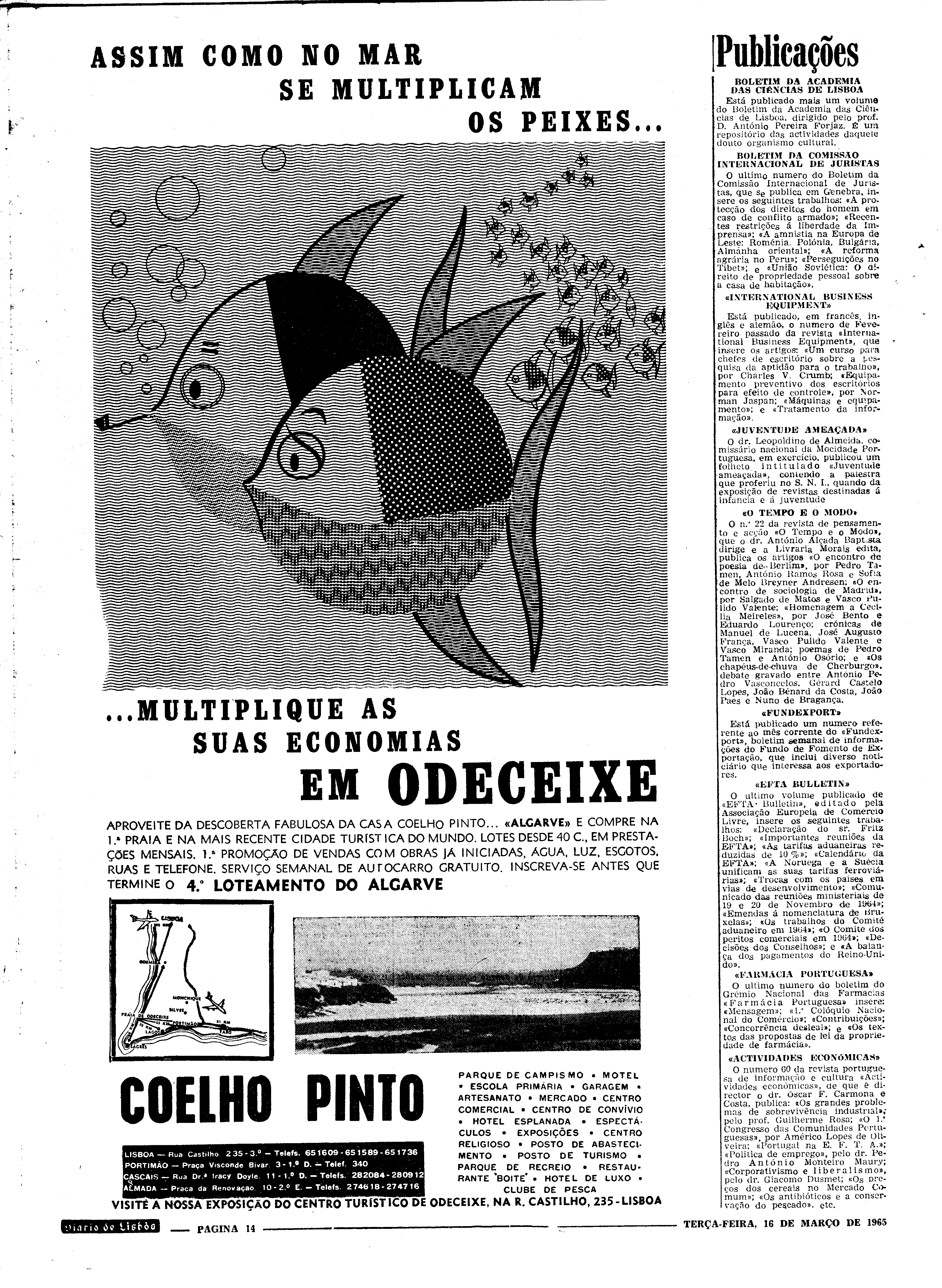 06558.096.19432- pag.14