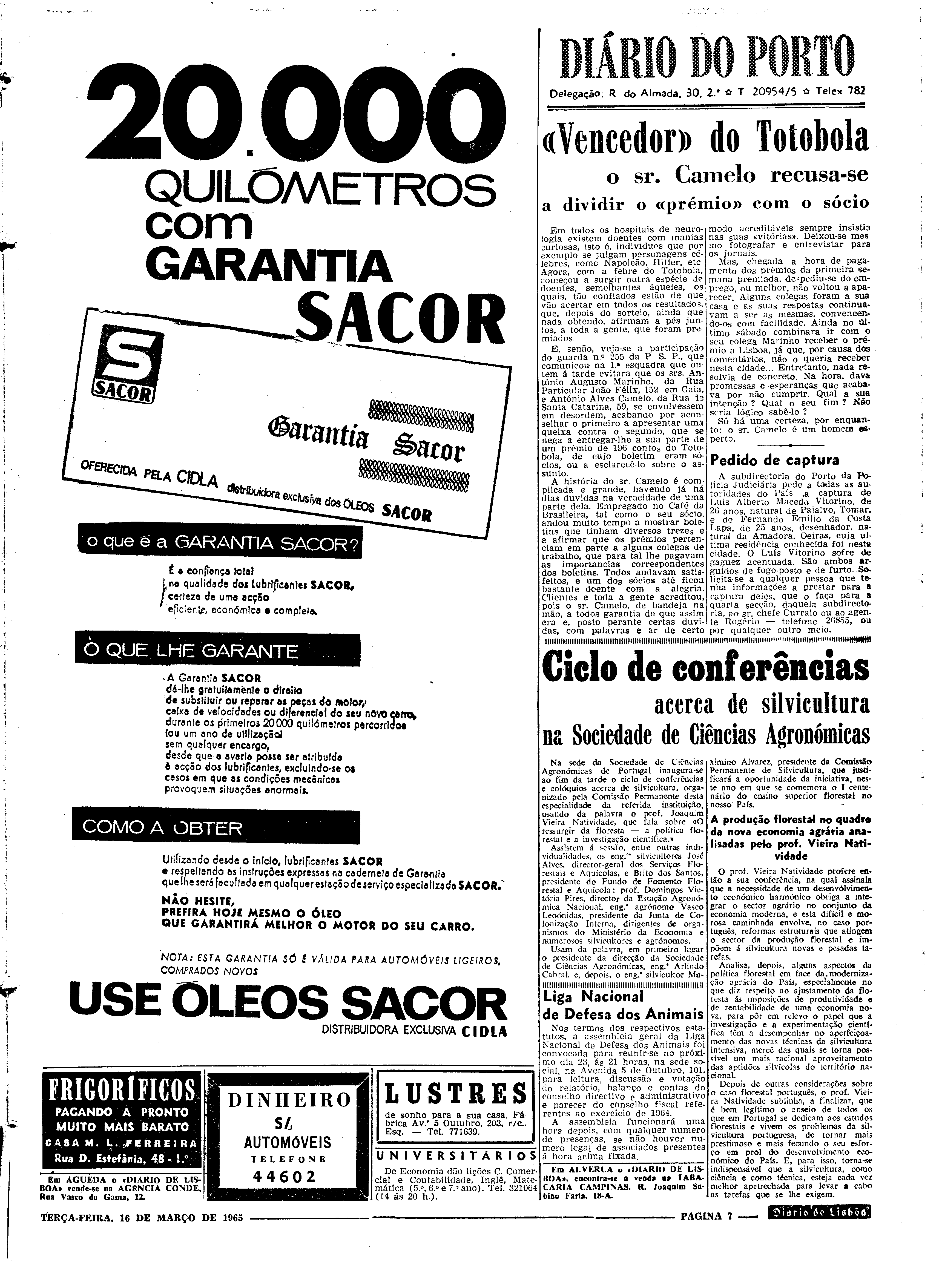 06558.096.19433- pag.7