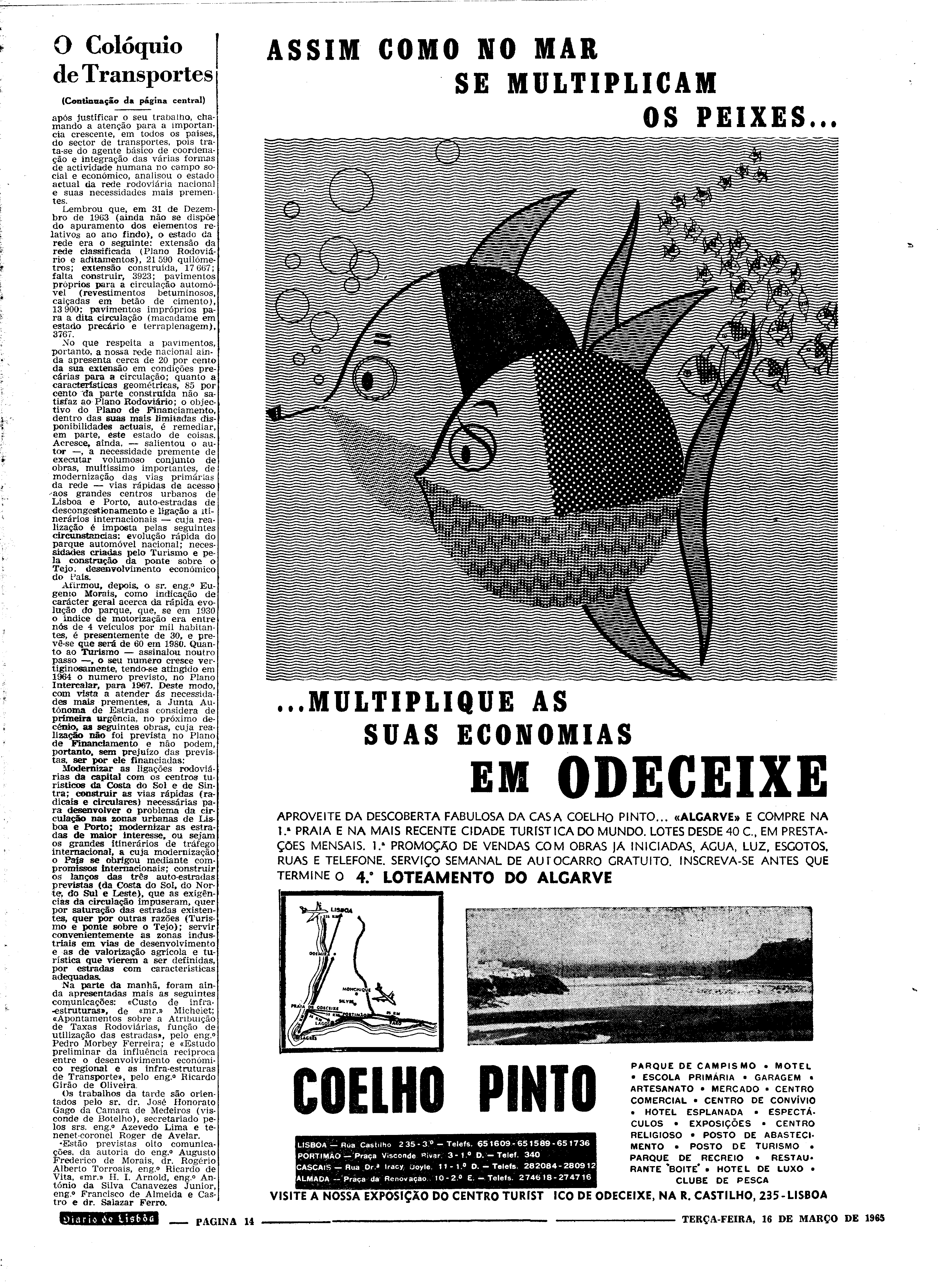 06558.096.19433- pag.14