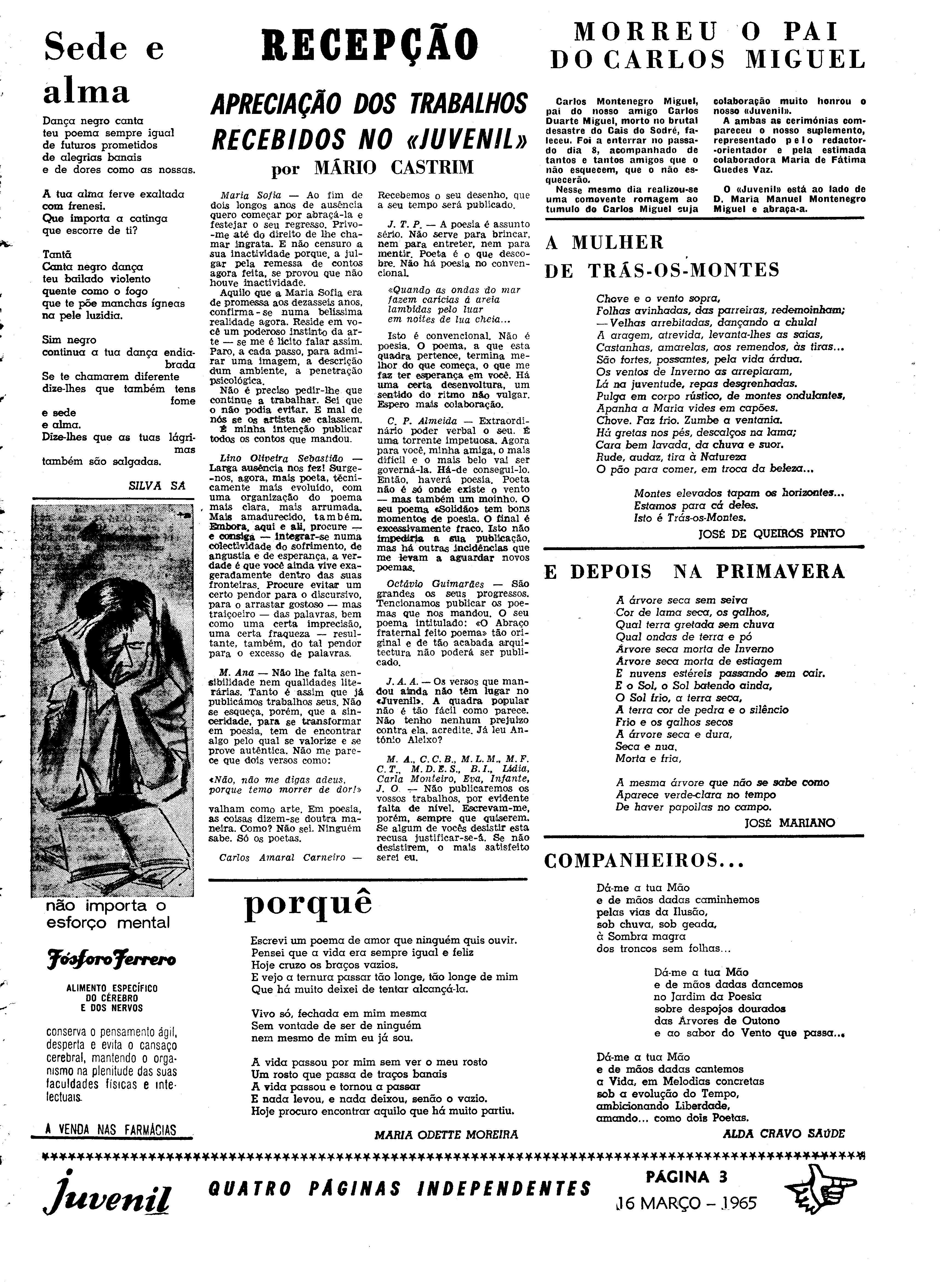 06558.096.19433- pag.23