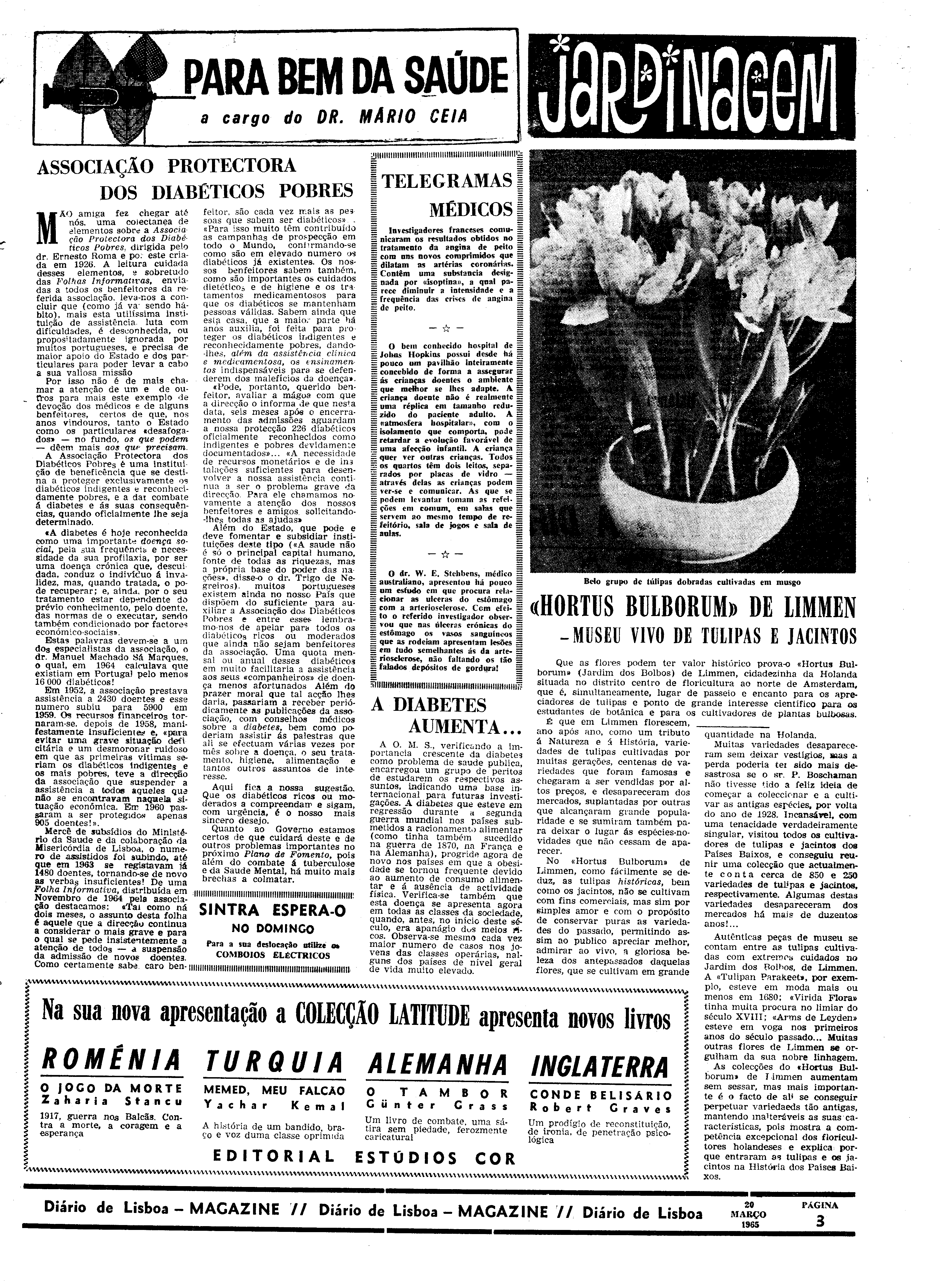 06558.096.19440- pag.23