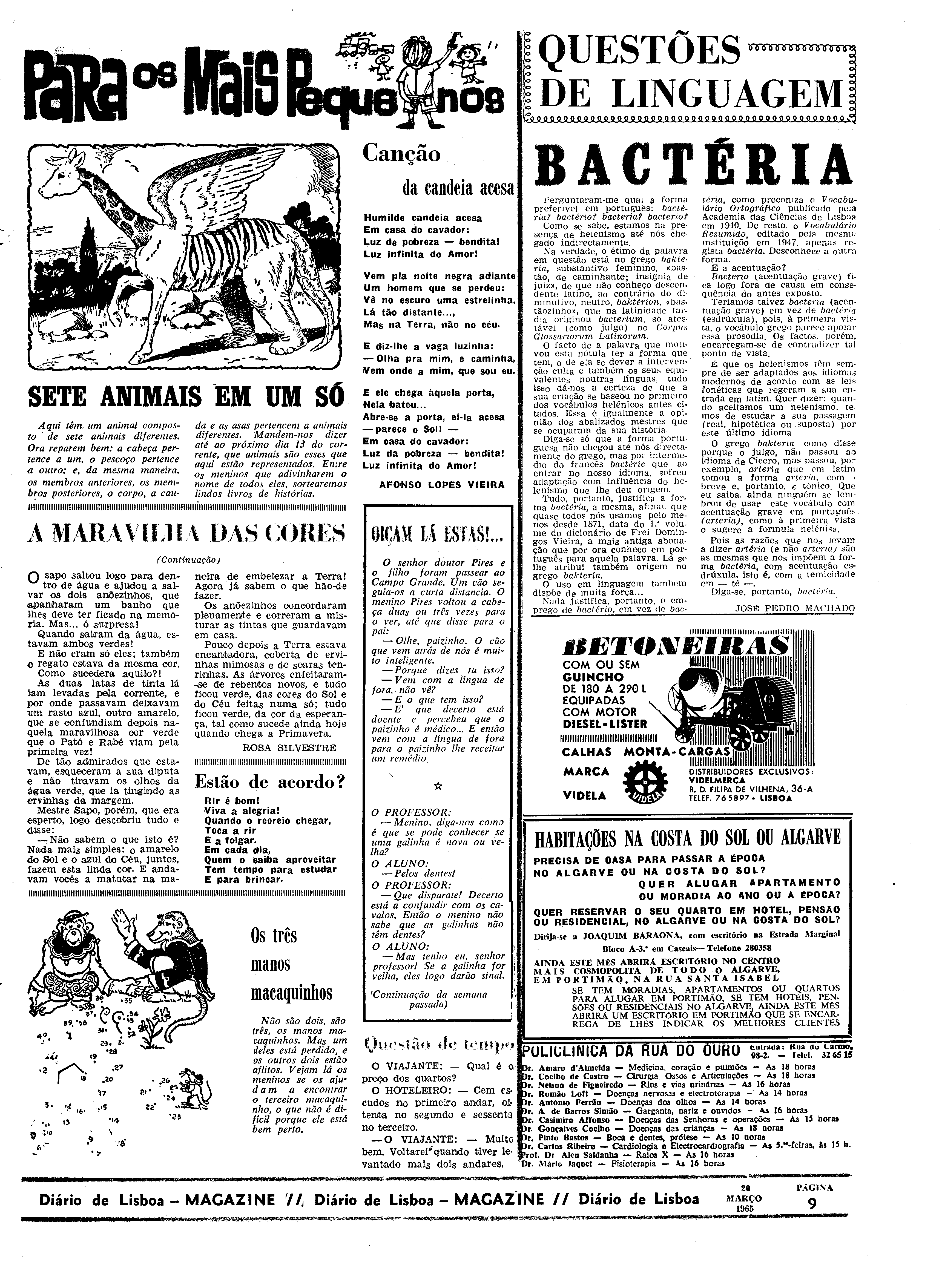 06558.096.19440- pag.29