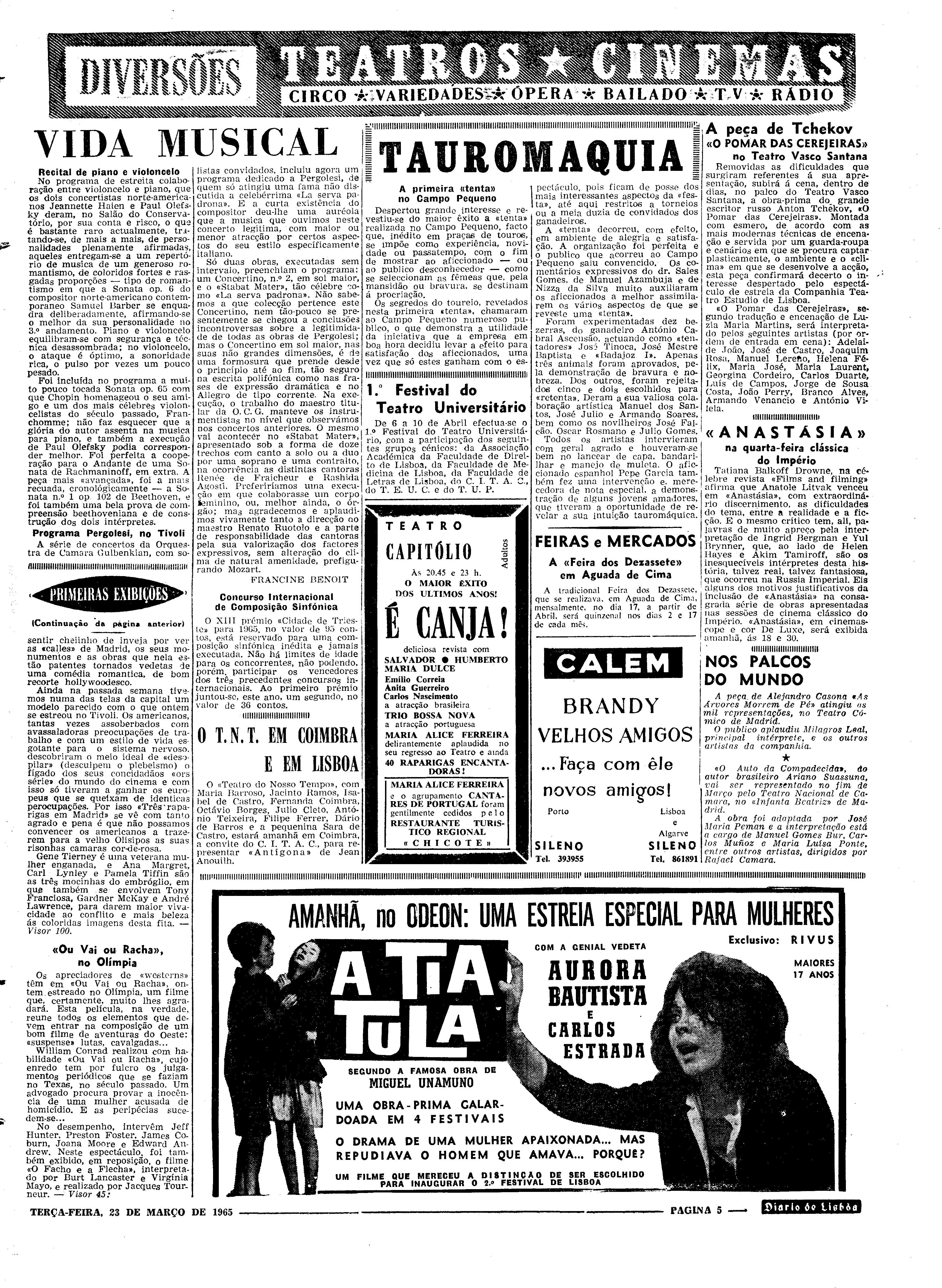 06558.096.19446- pag.5