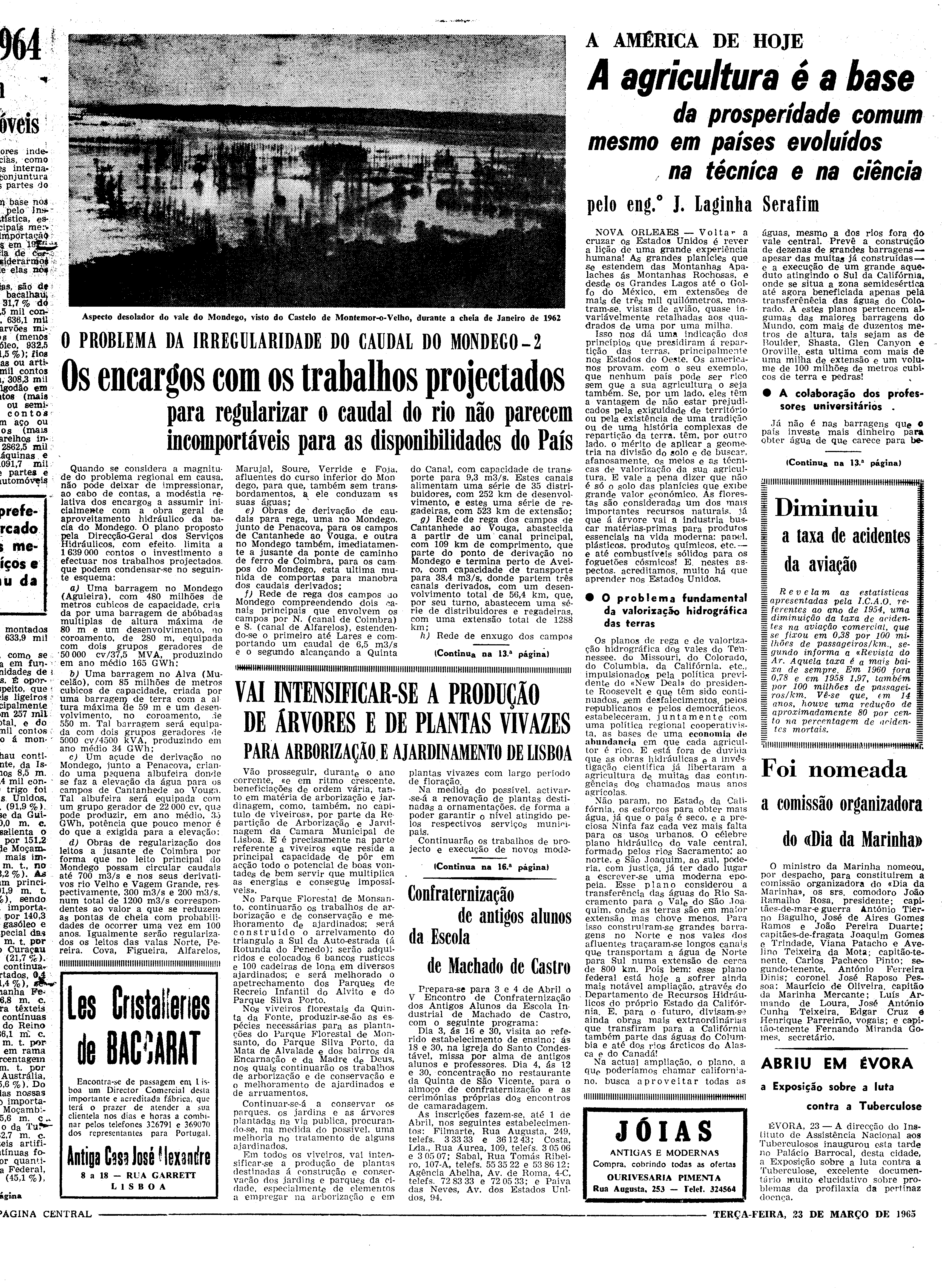 06558.096.19446- pag.11