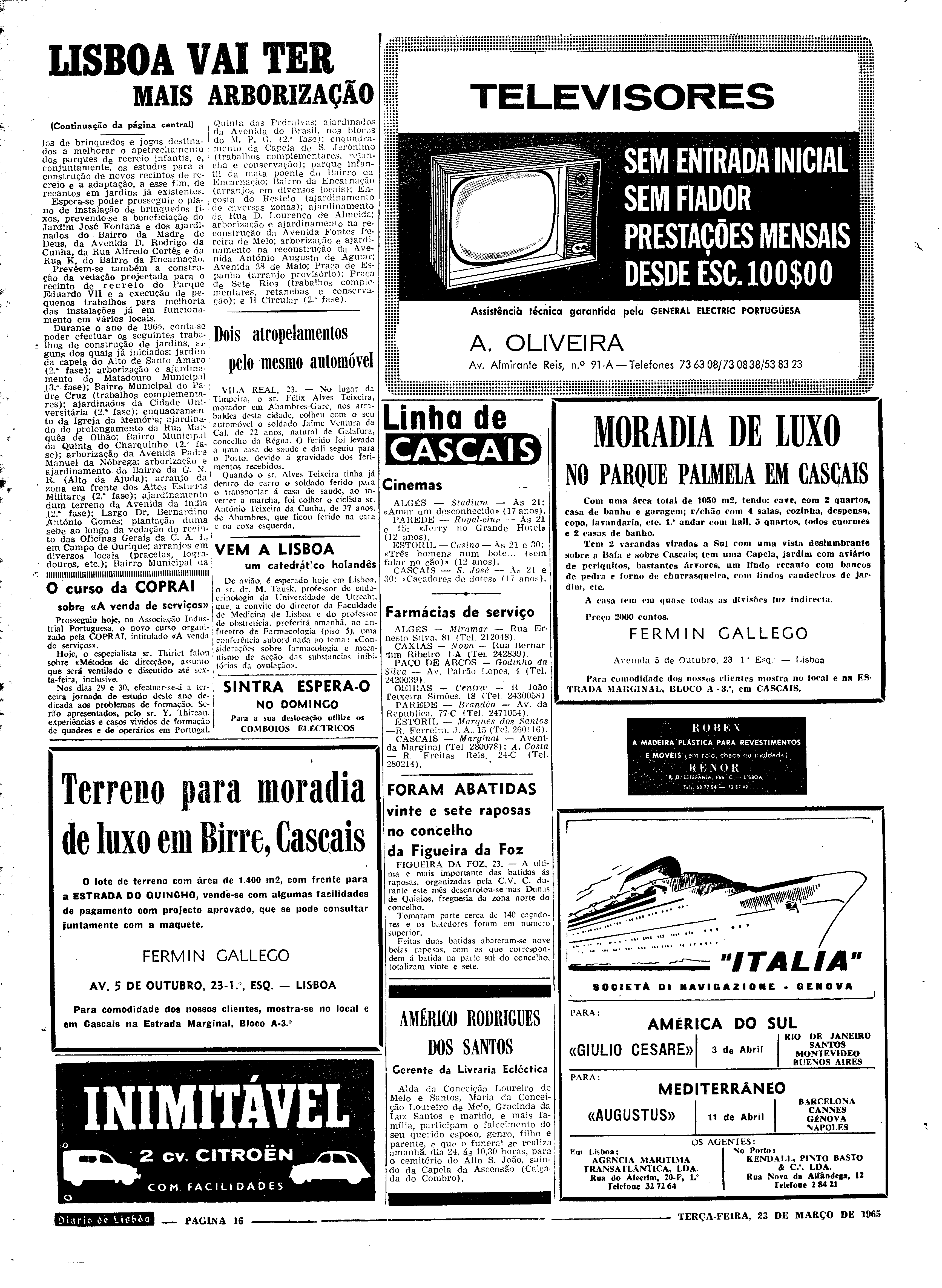 06558.096.19446- pag.16