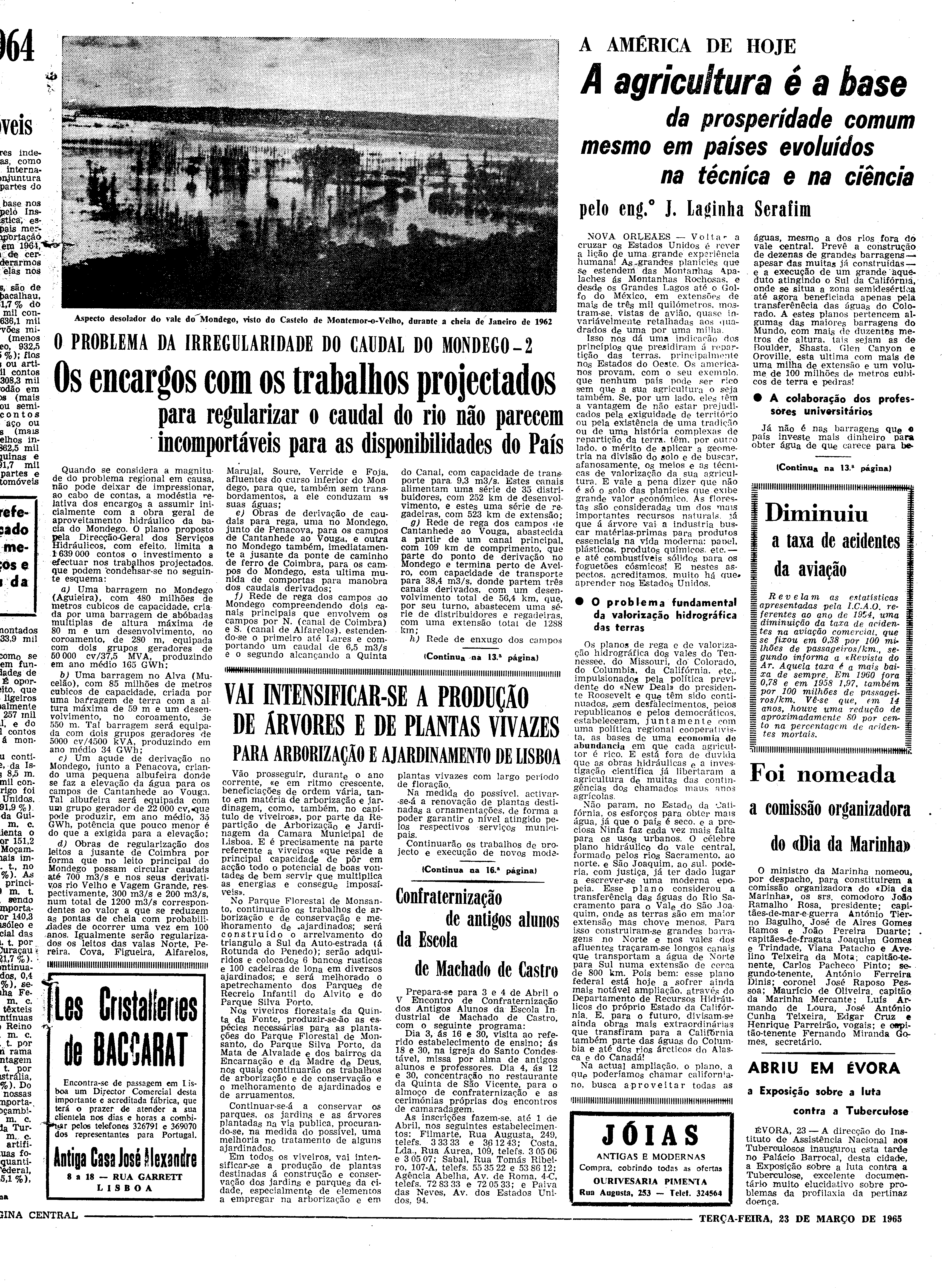 06558.096.19447- pag.11