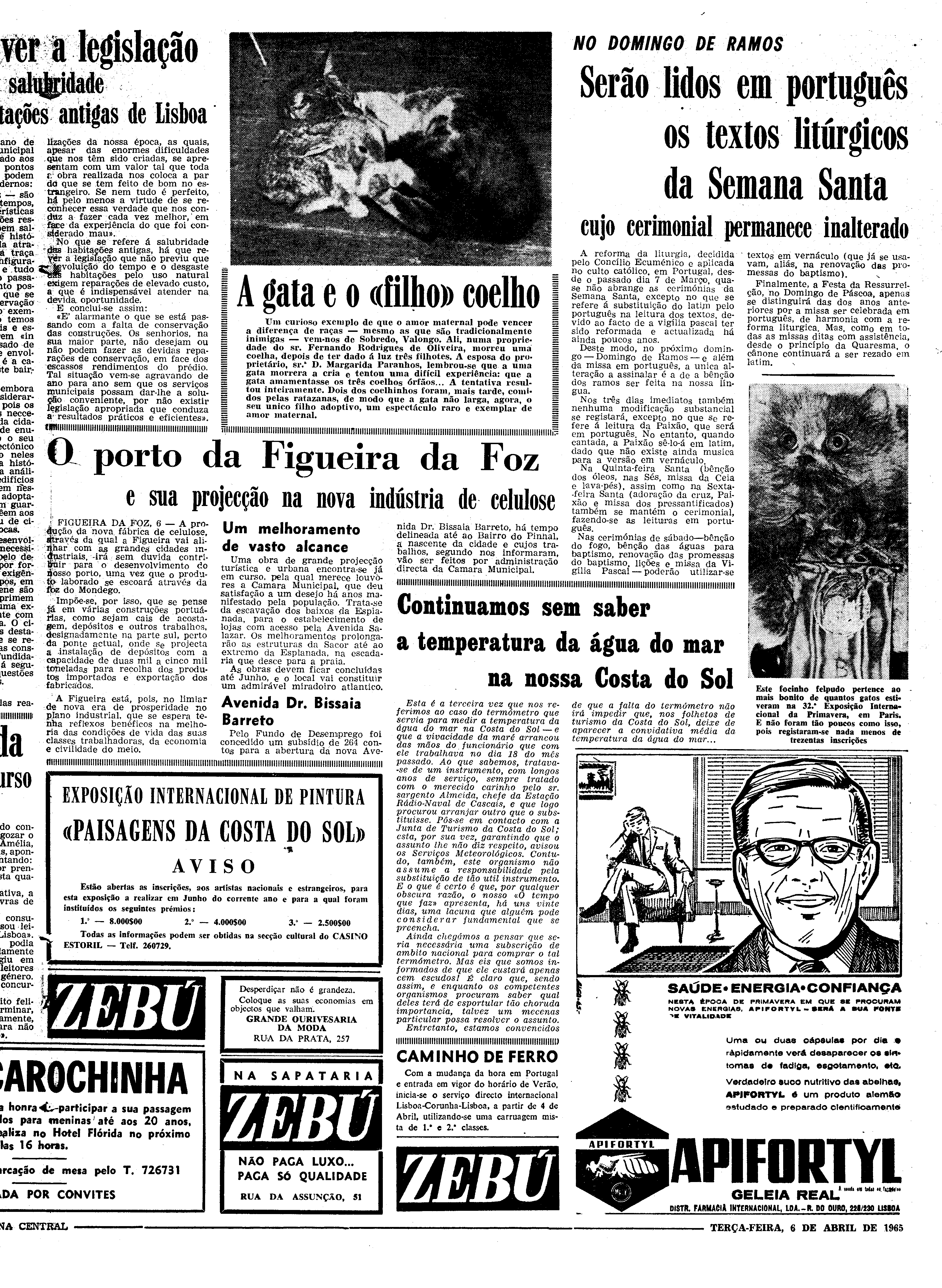 06559.097.19476- pag.11
