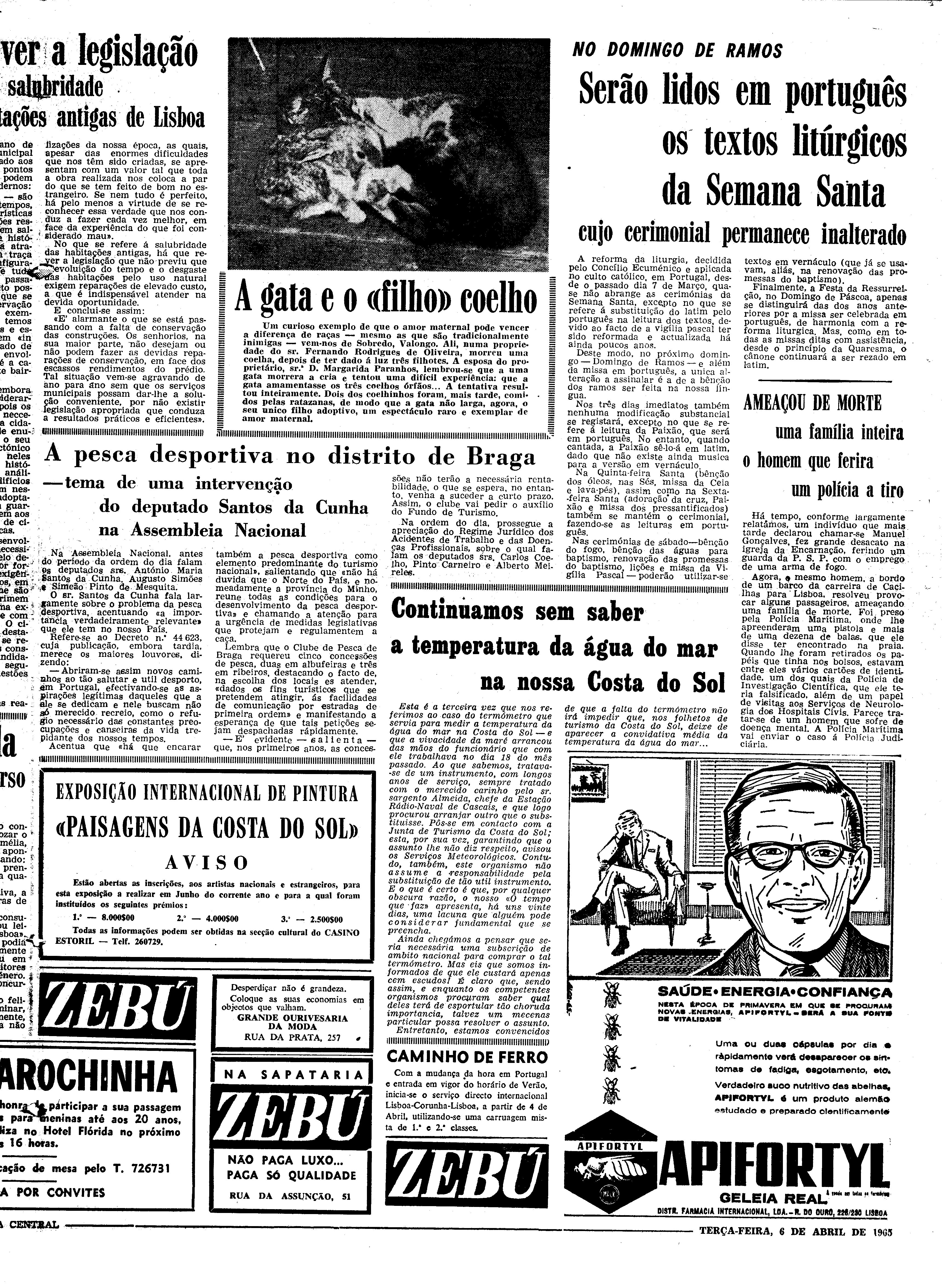 06559.097.19478- pag.11