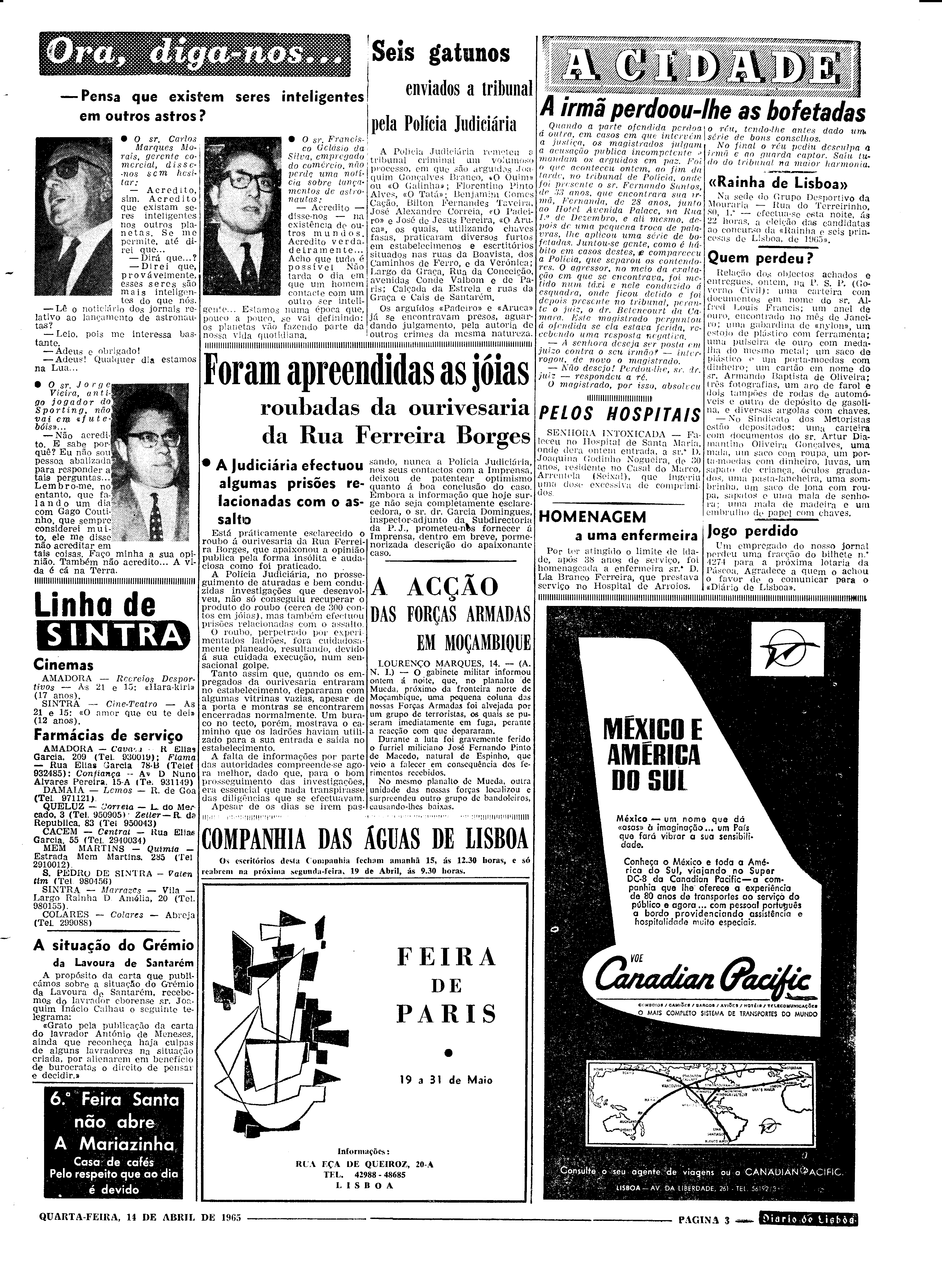 06559.097.19494- pag.3