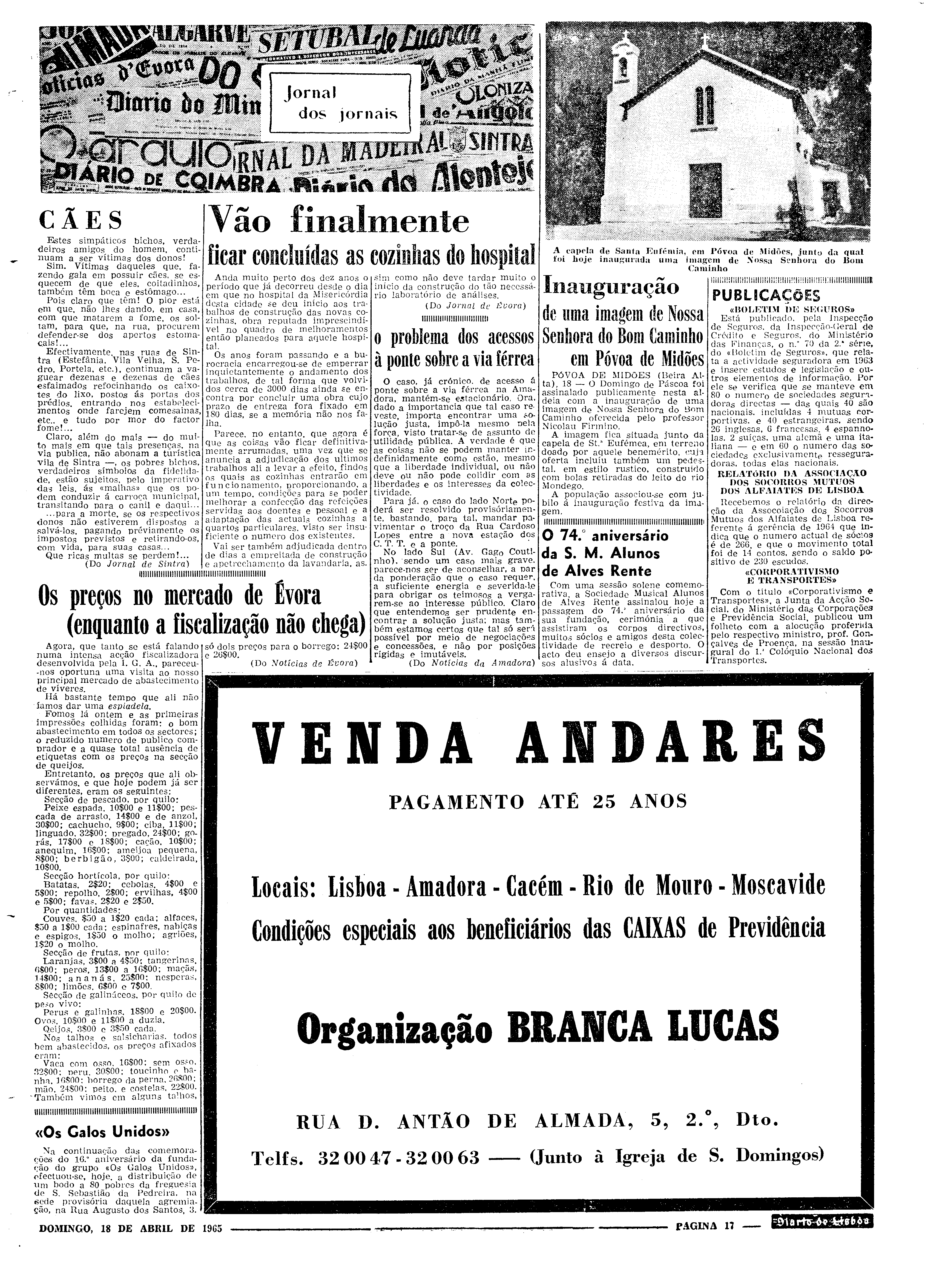 06559.097.19502- pag.17