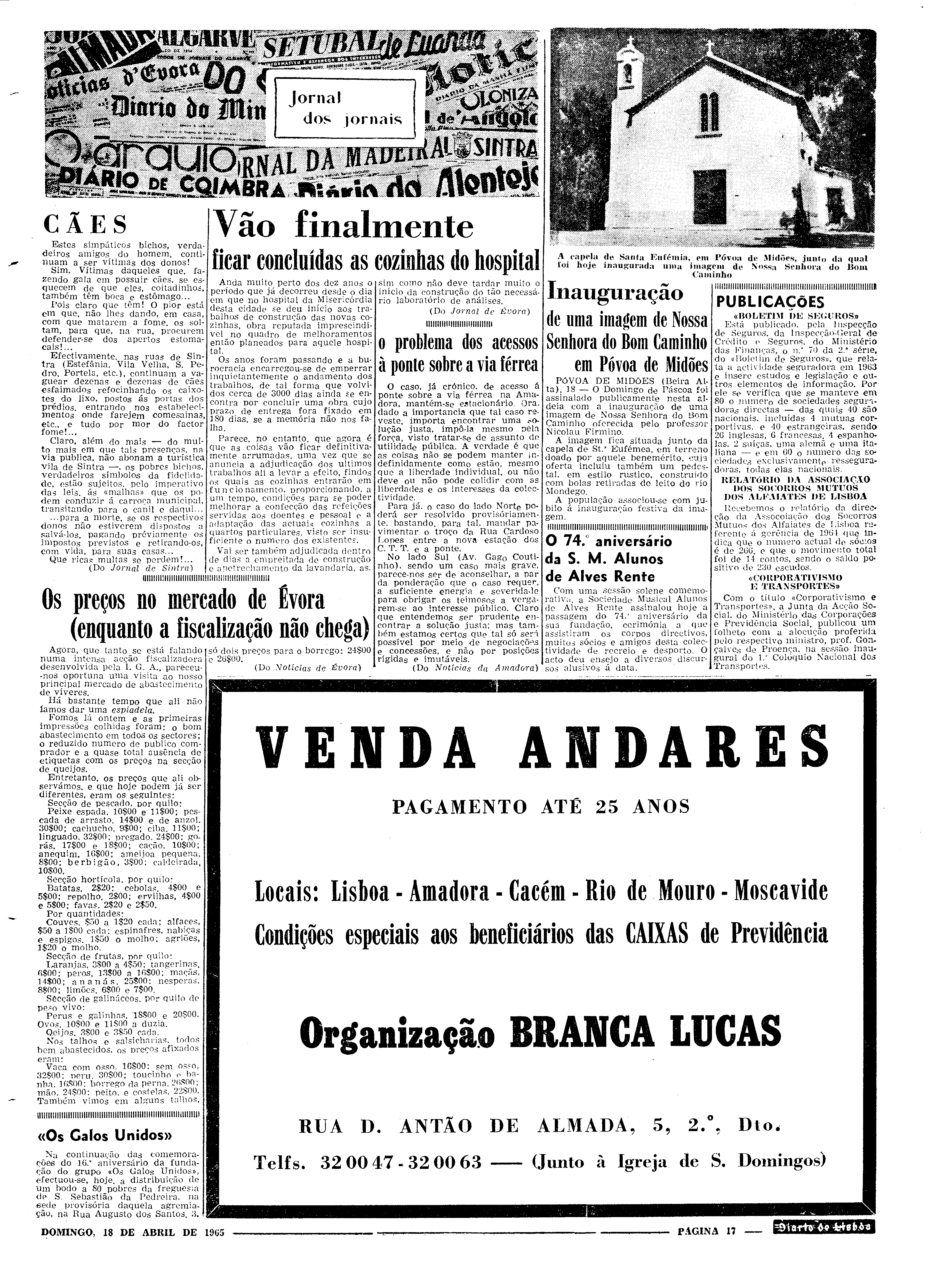 06559.097.19503- pag.17