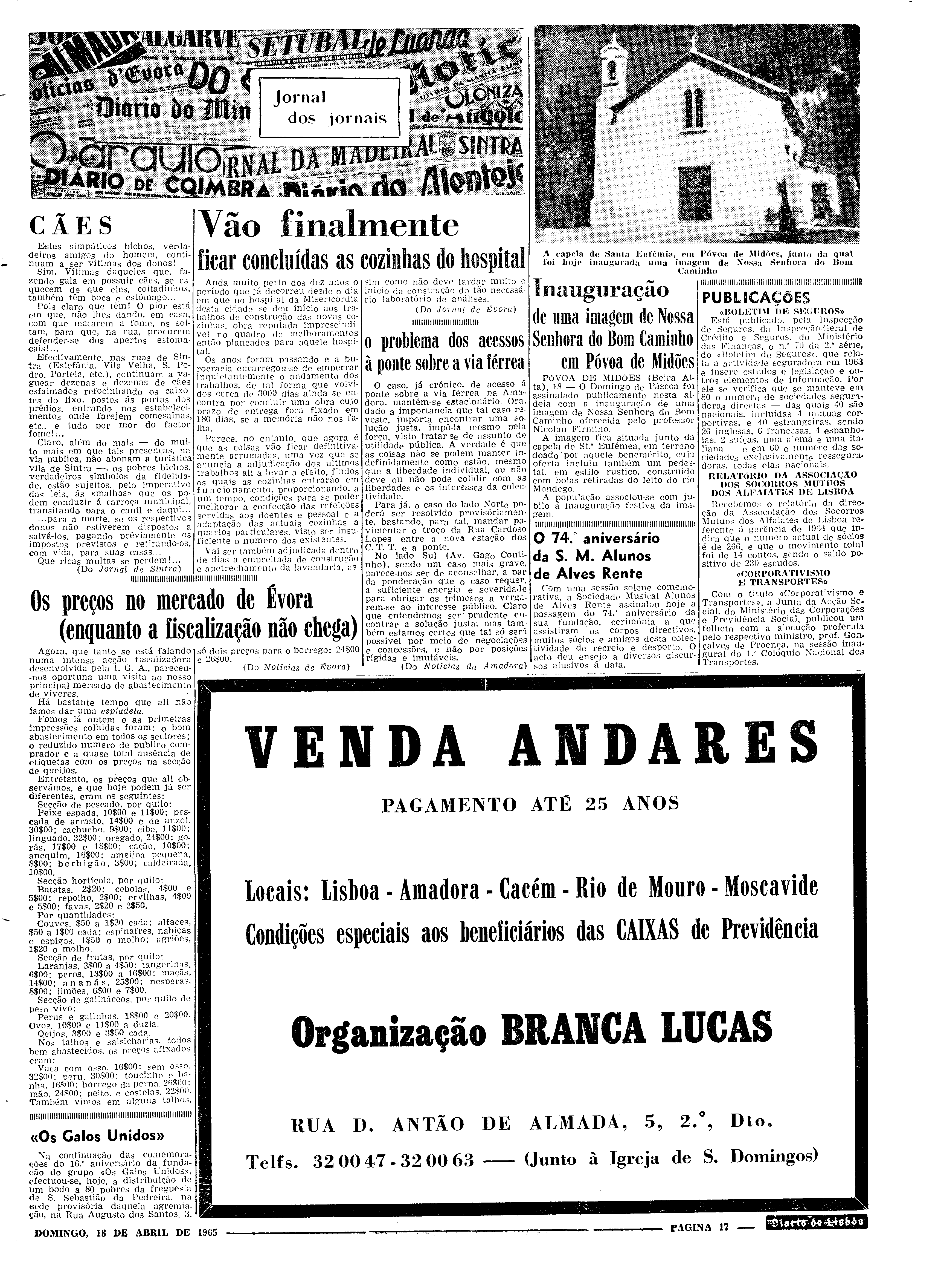 06559.097.19504- pag.17