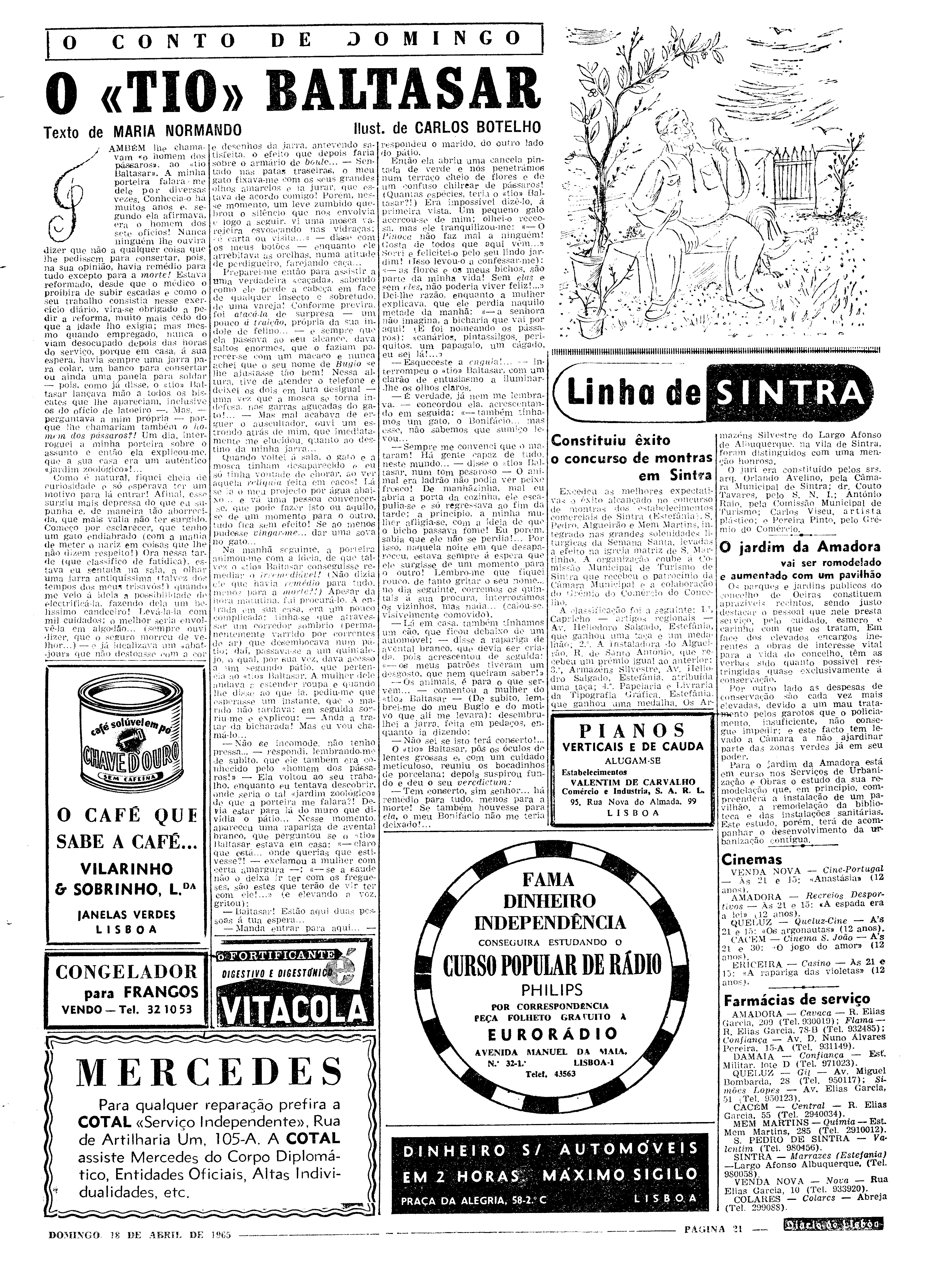 06559.097.19504- pag.21